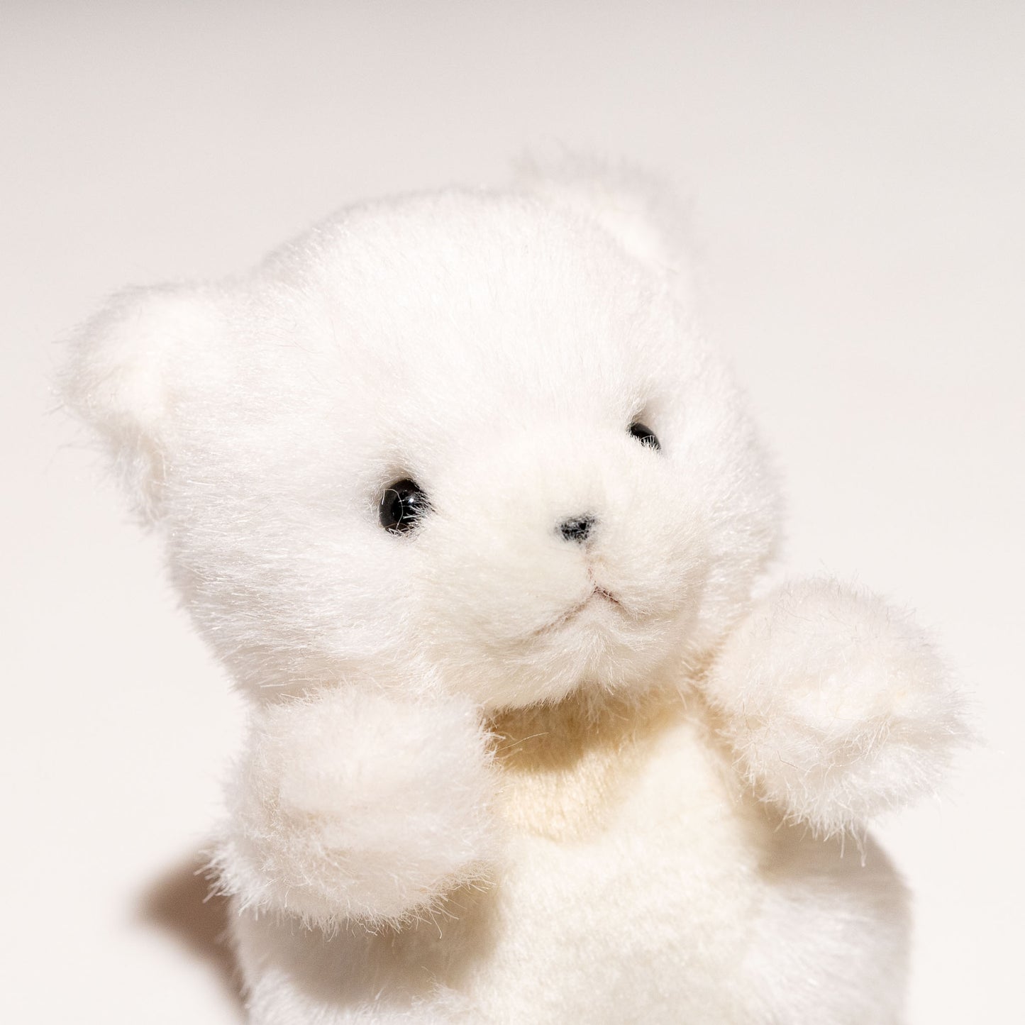 たけのこ TAKENOKO ぬいぐるみ プチプチらんど 森のなかま クマ 白 58440 右横顔