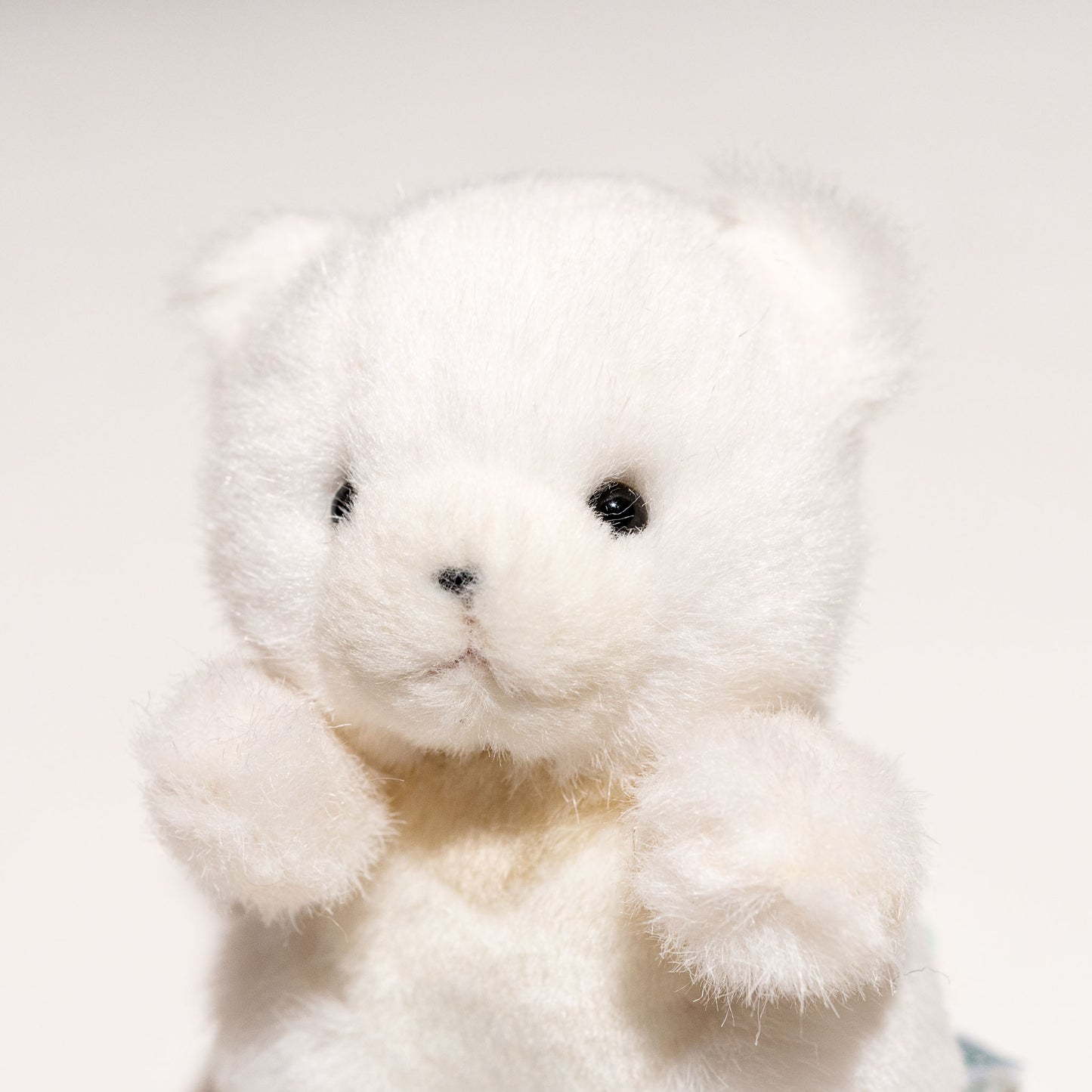 たけのこ TAKENOKO ぬいぐるみ プチプチらんど 森のなかま クマ 白 58440 左横顔