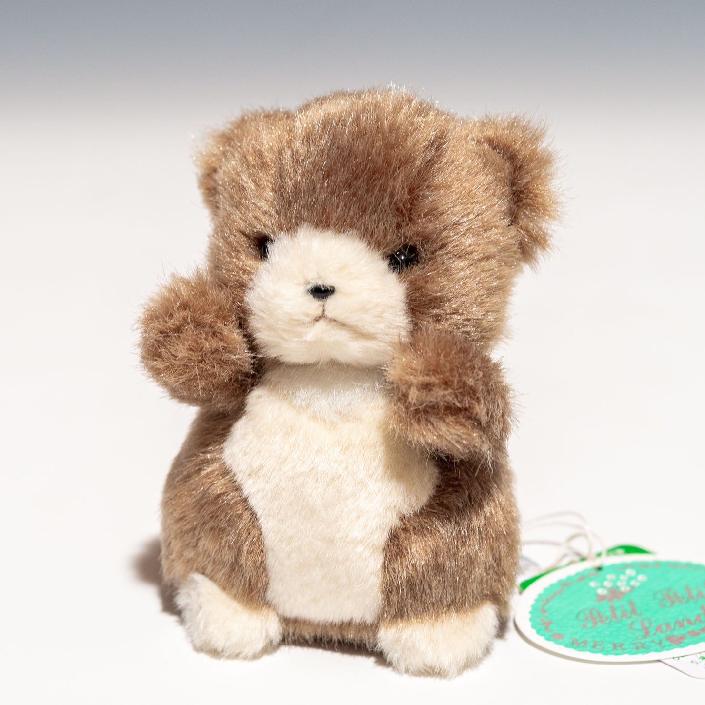 たけのこ TAKENOKO ぬいぐるみ プチプチらんど 森のなかま クマ 茶 58441 正面