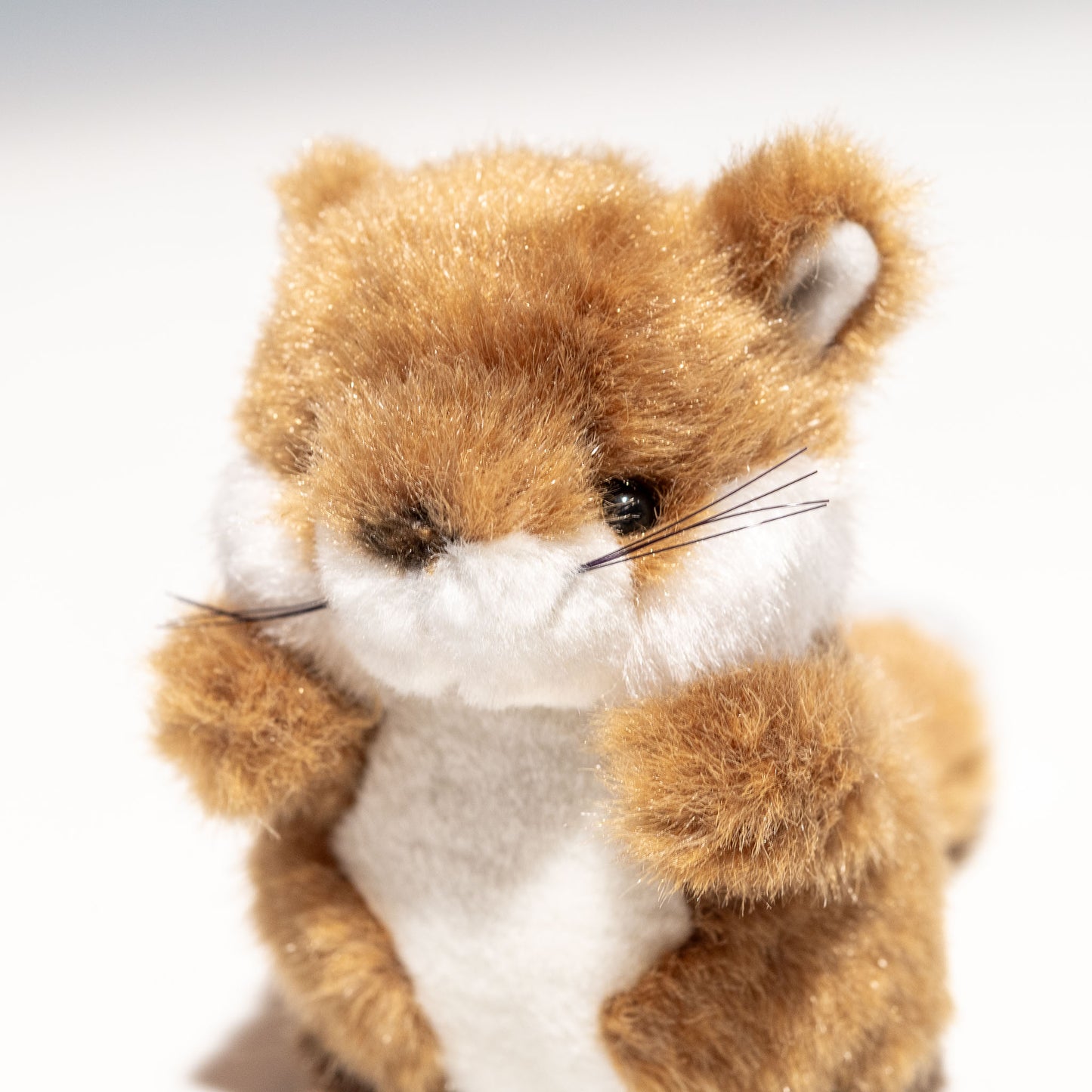 たけのこ TAKENOKO ぬいぐるみ プチプチらんど 森のなかま キツネ 58439 左横顔