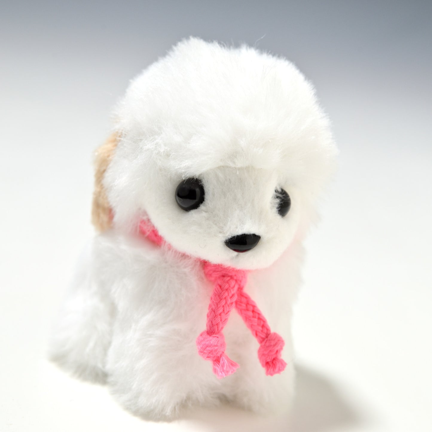 たけのこ TAKENOKO ぬいぐるみ キャンディフォンテーヌ トイプードル 白 48238 右横顔