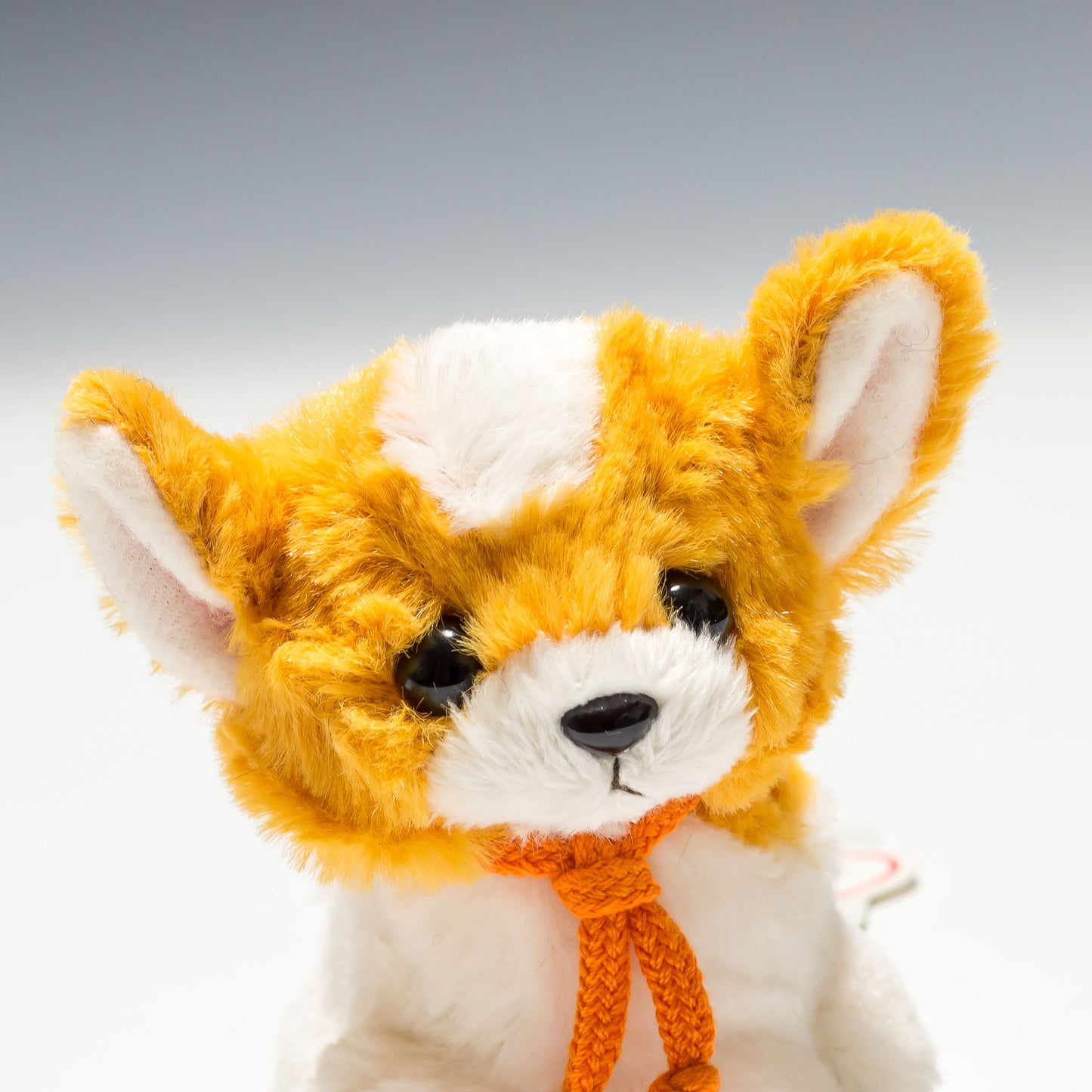 たけのこ TAKENOKO ぬいぐるみ キャンディフォンテーヌ チワワ 茶 48233 右横顔