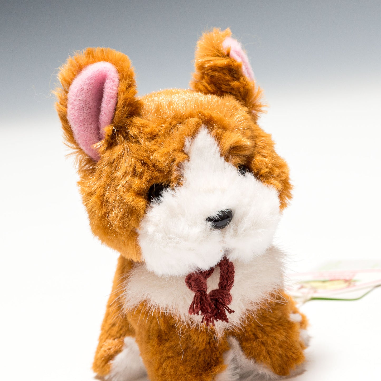 たけのこ TAKENOKO ぬいぐるみ キャンディフォンテーヌ コーギー 48230 右横顔