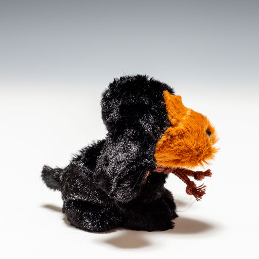 たけのこ TAKENOKO ぬいぐるみ キャンディフォンテーヌ ミニダックス 黒 48225 左横