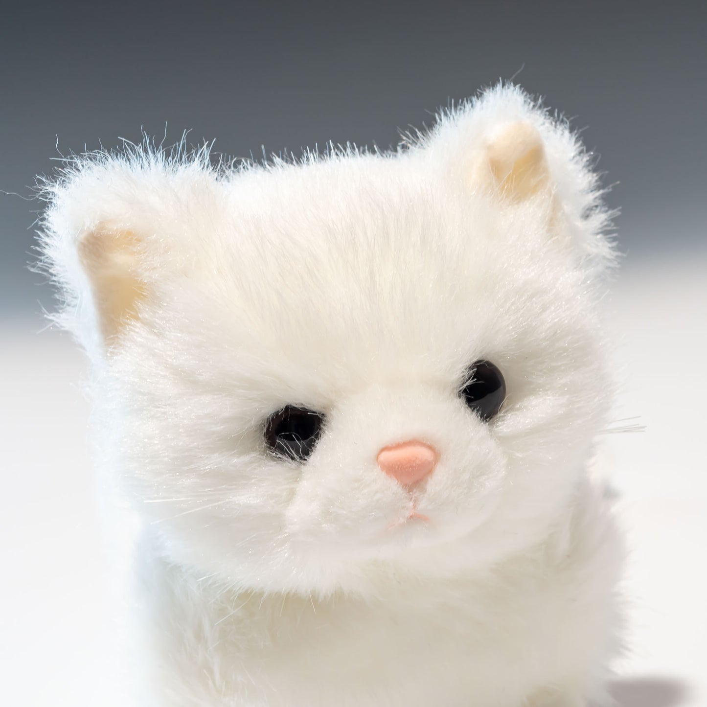 スターチャイルド STAR CHILD ぬいぐるみ ぬくねこ 白 1273 右横顔