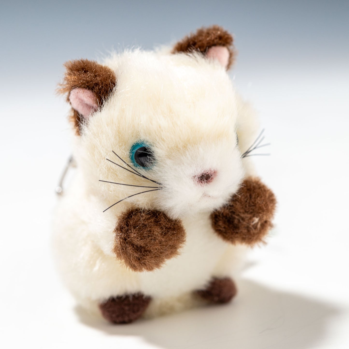 たけのこ TAKENOKO ぬいぐるみ ミニミニキッズ シャムネコ 48553 右横顔