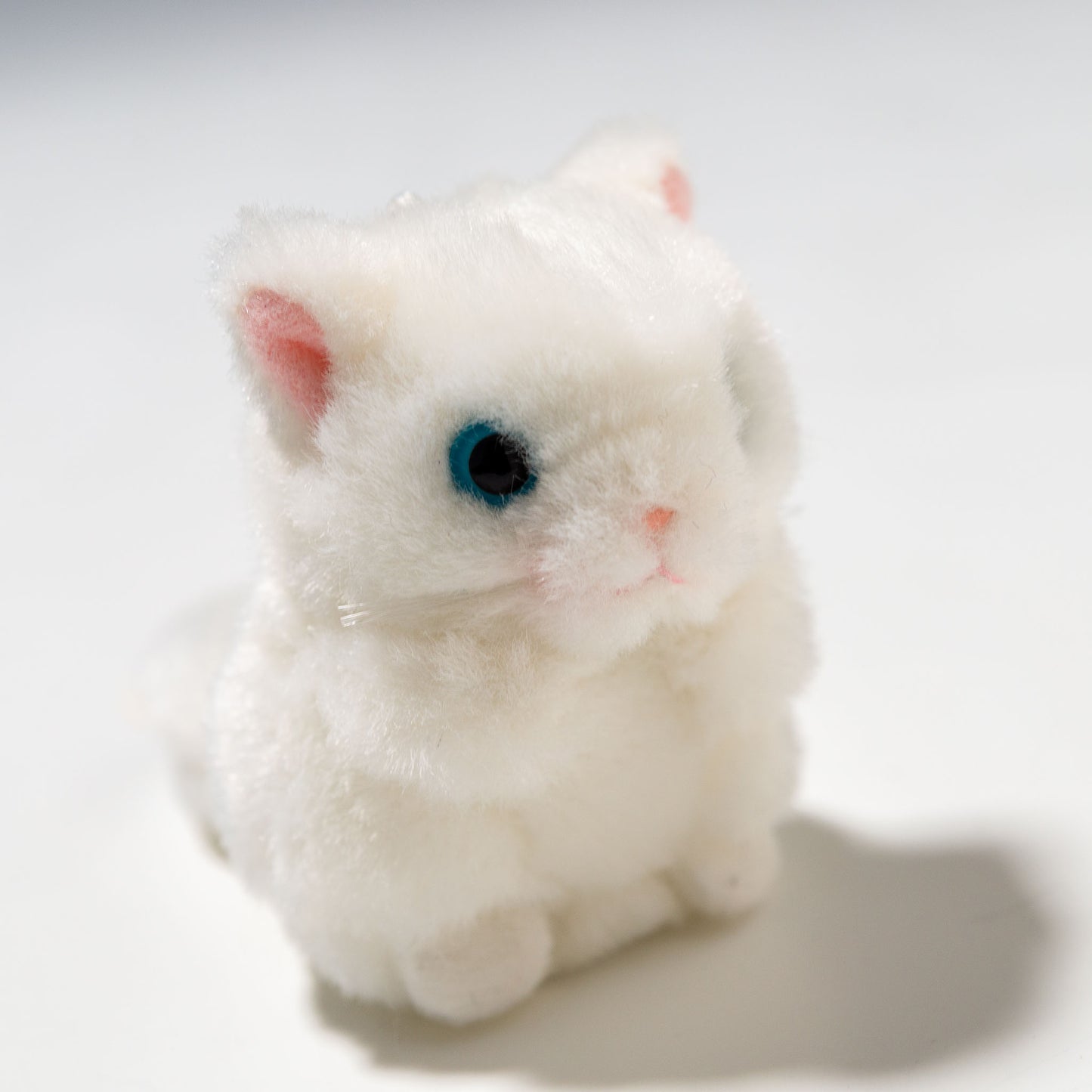 たけのこ TAKENOKO ぬいぐるみ ミニミニキッズ ペルシャネコ 48554 右横顔