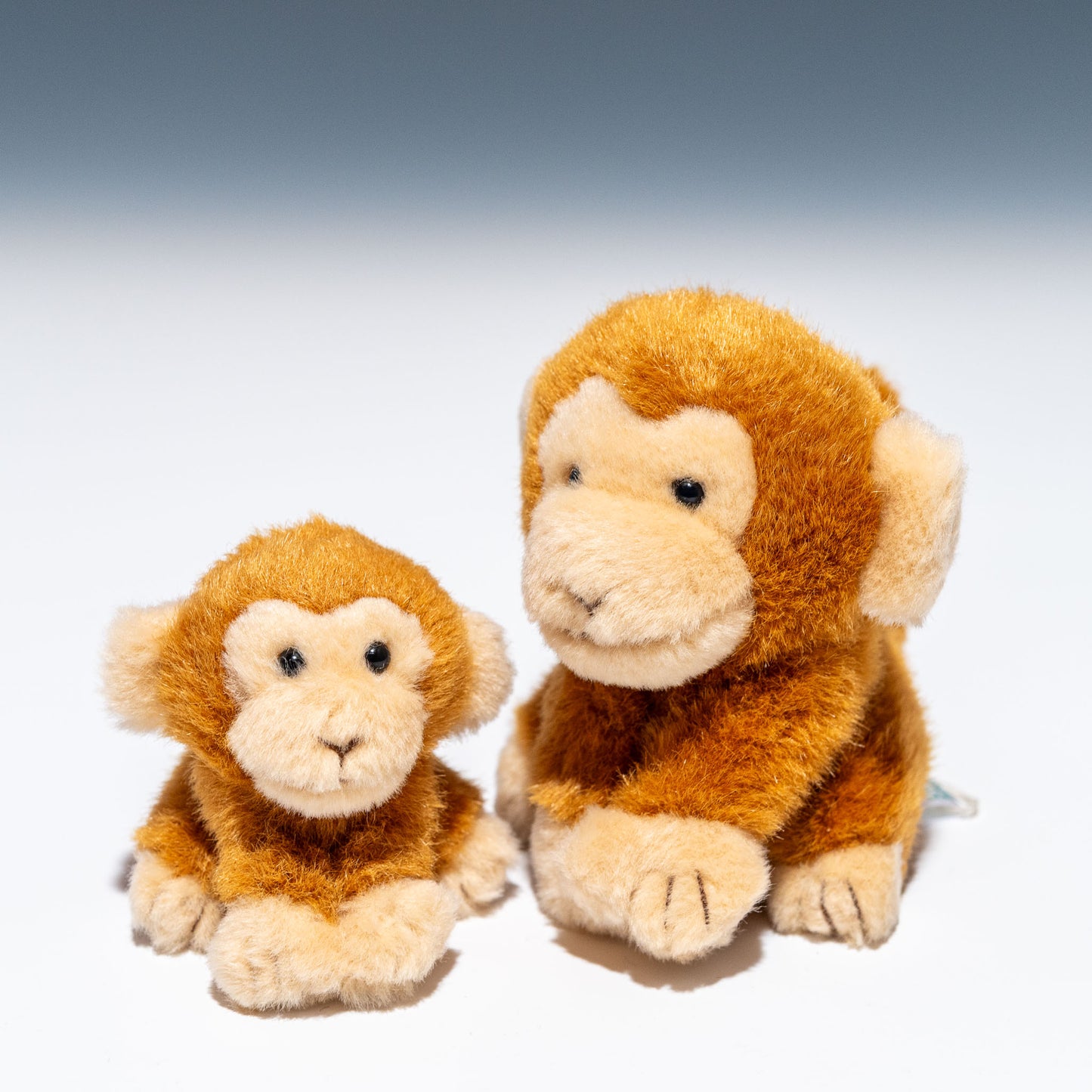 たけのこ TAKENOKO ぬいぐるみ サファリクラブ ボールチェーン サル 63924 サファリクラブ サルと並んだところ