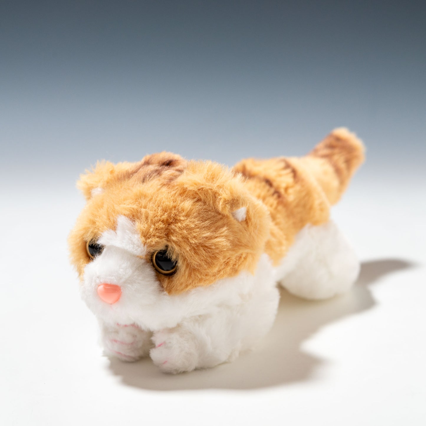 CUTE キュート販売 ぬいぐるみ くたくたニャンコ スコティッシュフィールド 茶 SS C0070 正面
