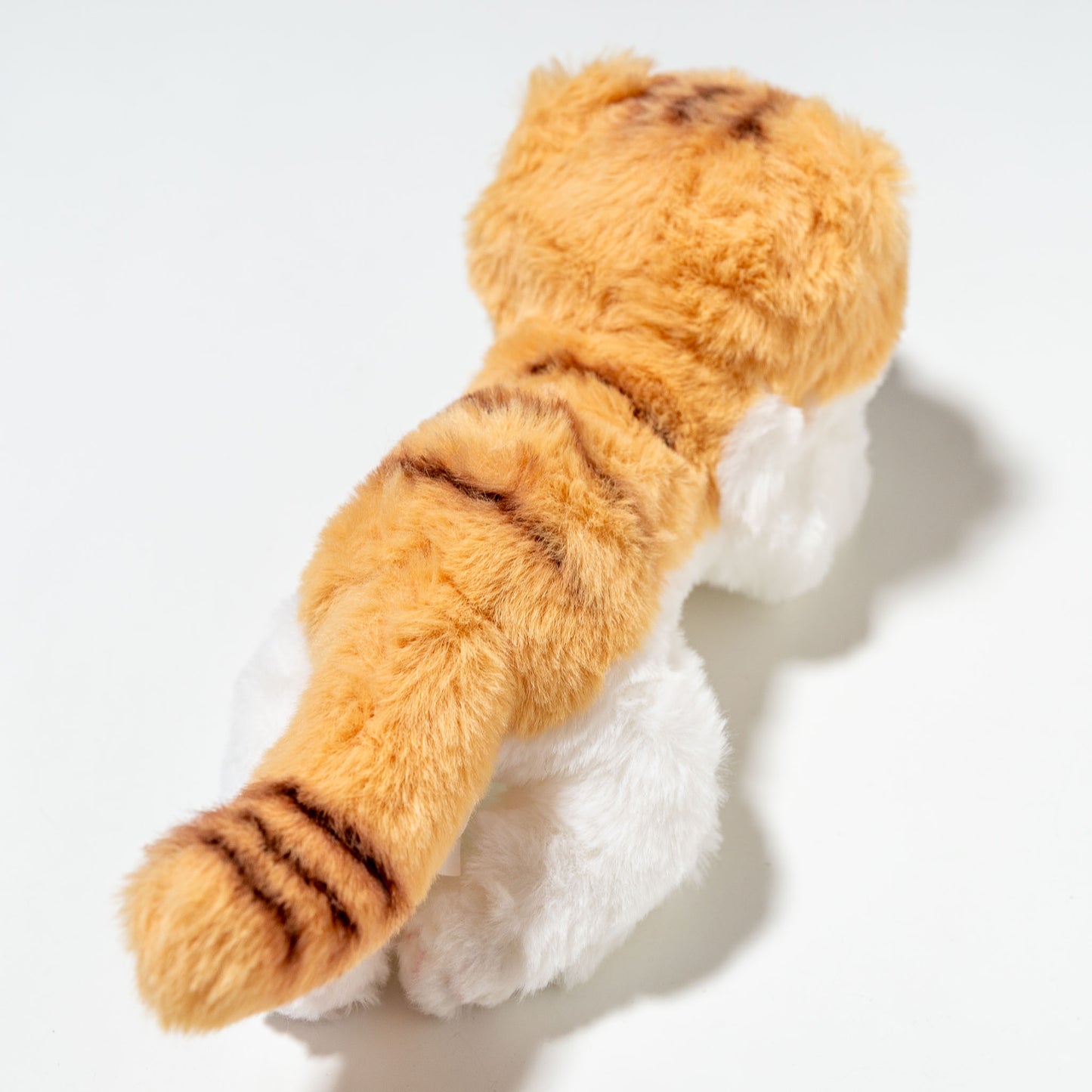 CUTE キュート販売 ぬいぐるみ くたくたニャンコ スコティッシュフィールド 茶 SS C0070 後ろ