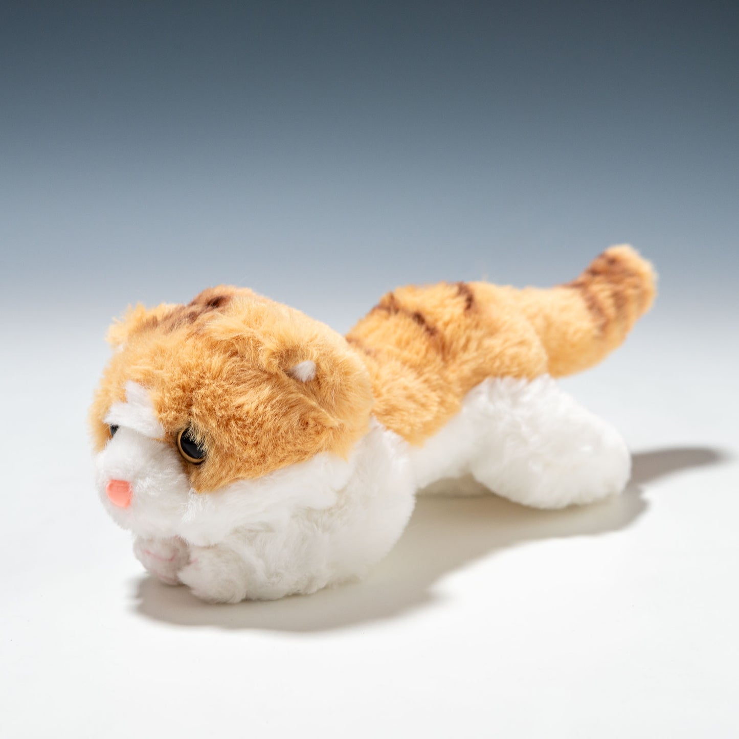 CUTE キュート販売 ぬいぐるみ くたくたニャンコ スコティッシュフィールド 茶 SS C0070 右横