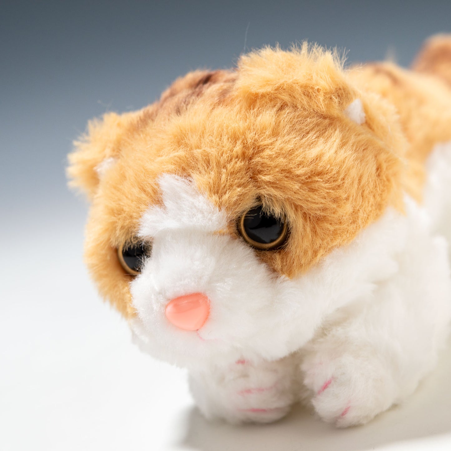 CUTE キュート販売 ぬいぐるみ くたくたニャンコ スコティッシュフィールド 茶 SS C0070 左横顔