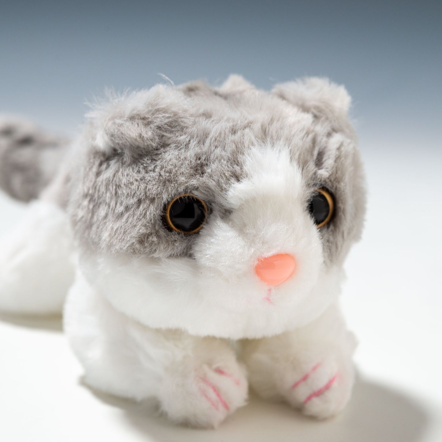 CUTE キュート販売 ぬいぐるみ くたくたニャンコ スコティッシュフィールド 灰 SS C0072 右横顔