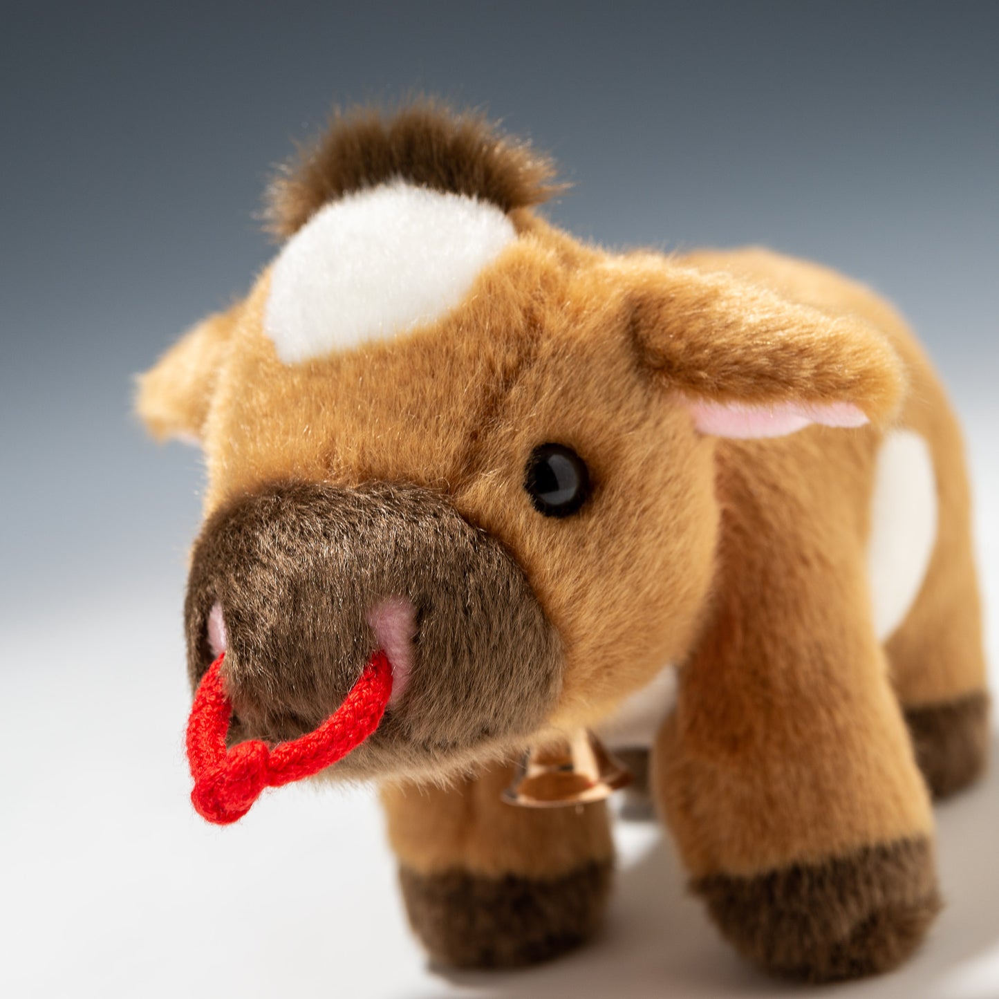 ジャージー牛 S F0151 | キュート販売 CUTEの左横顔