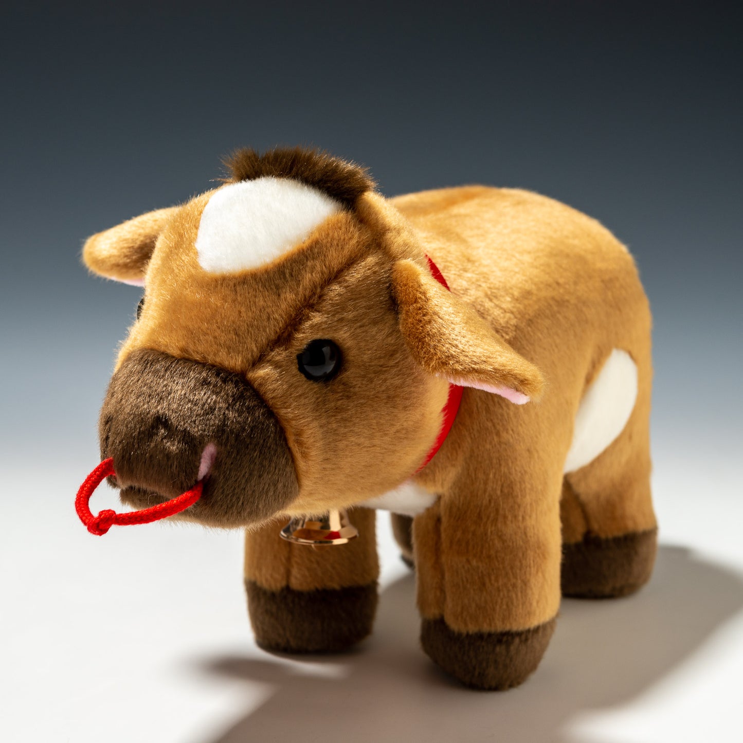 ジャージー牛 L F0152 | キュート販売 CUTEの正面