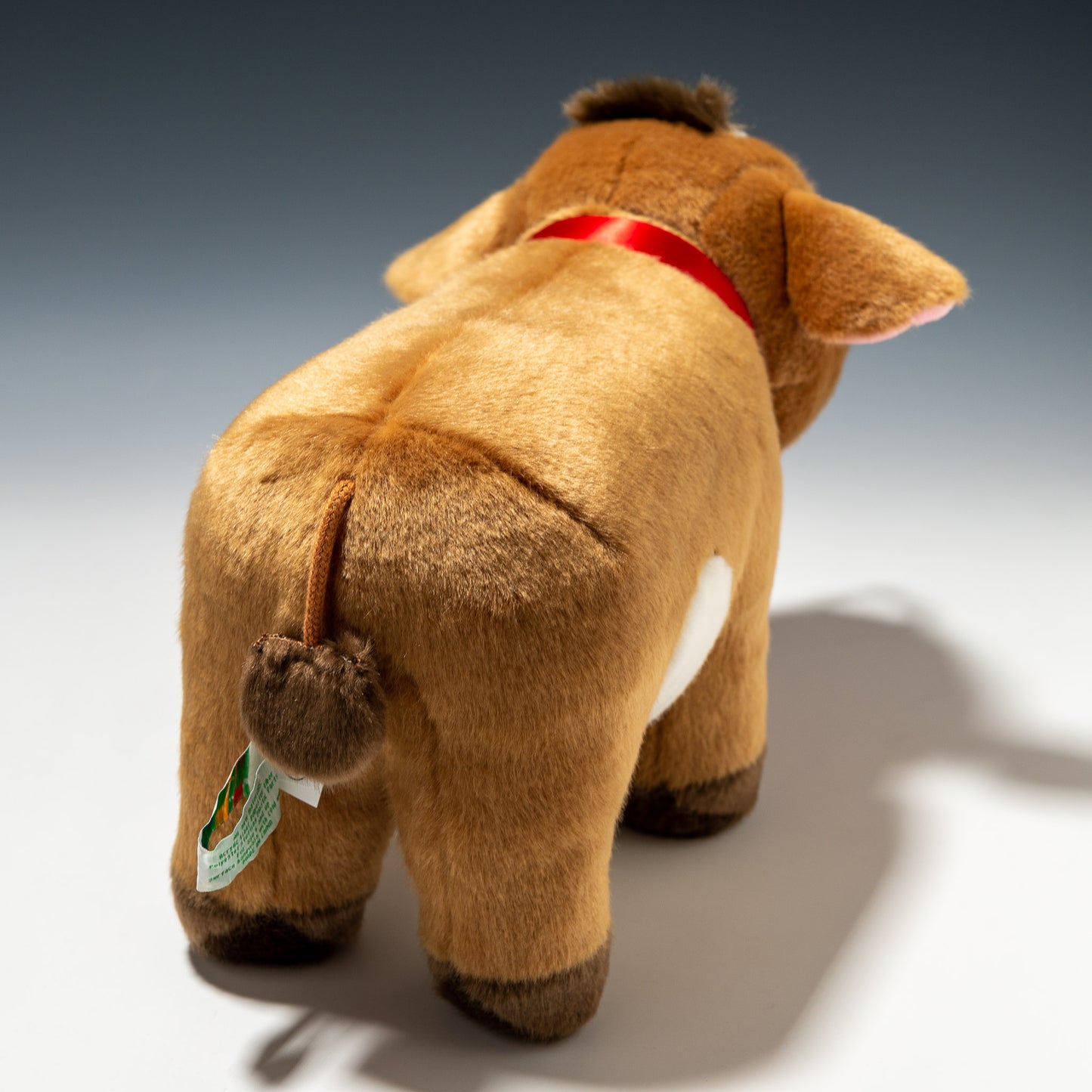 ジャージー牛 L F0152 | キュート販売 CUTEの後ろ姿