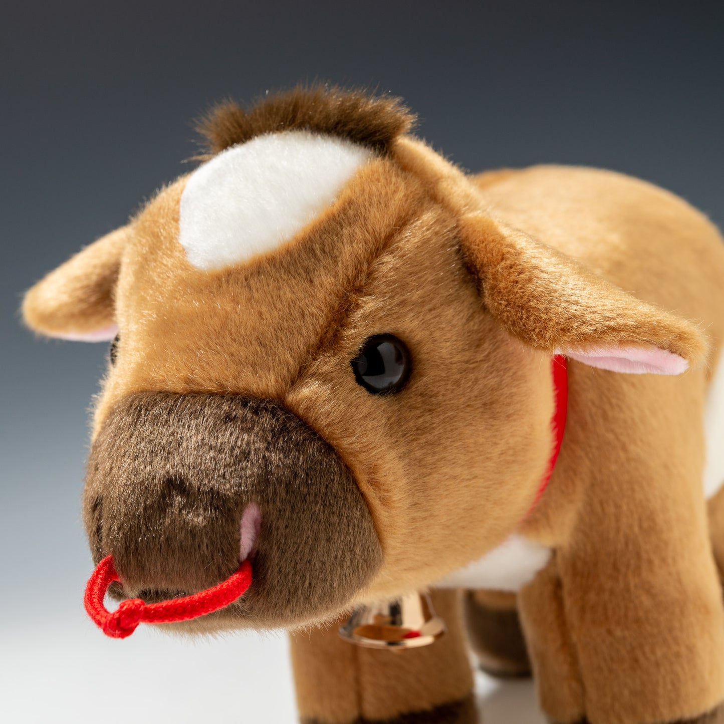 ジャージー牛 L F0152 | キュート販売 CUTEの左横顔