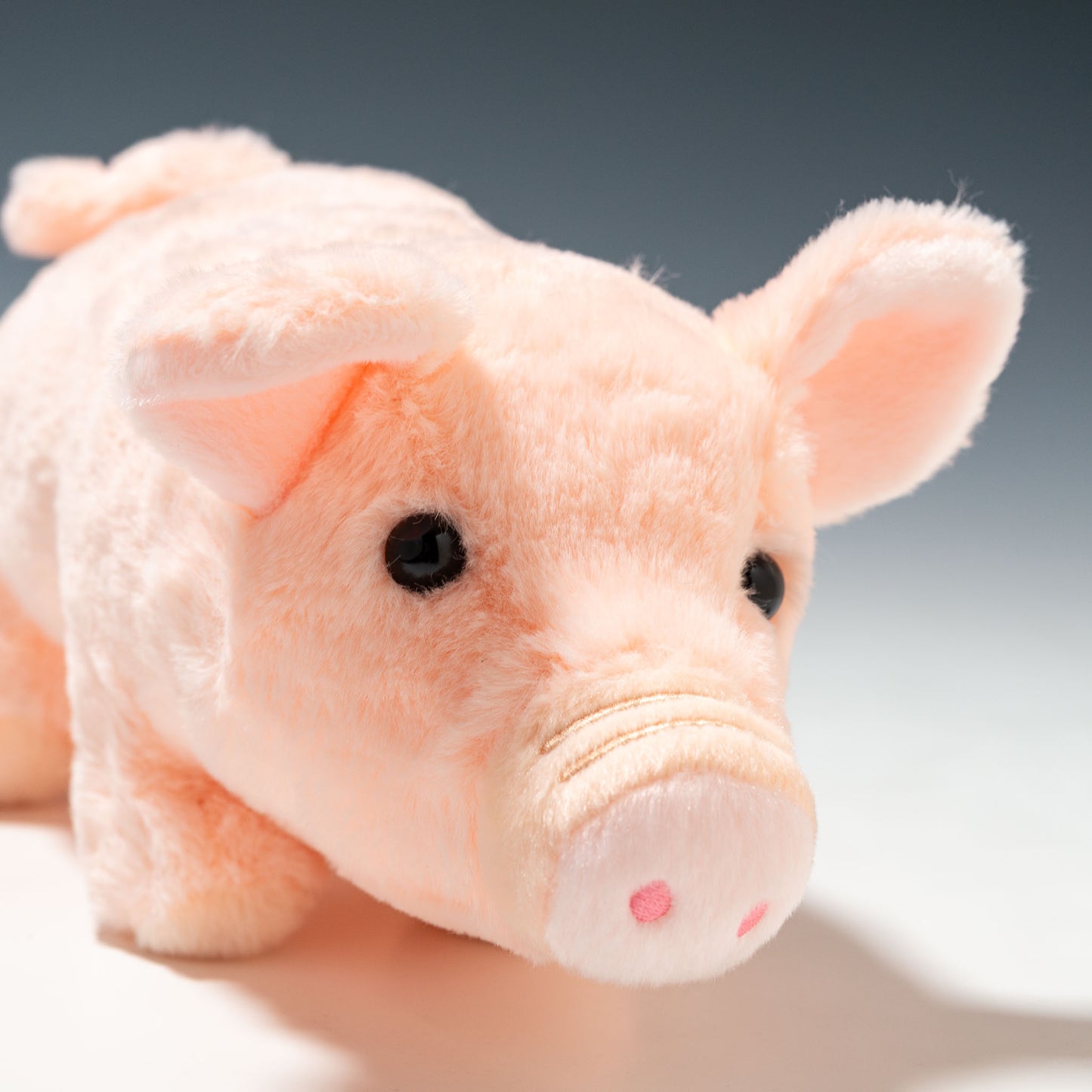 CUTE キュート販売 ぬいぐるみ ファームコレクション ブタ ブーブーシンガー M F0320 右横顔