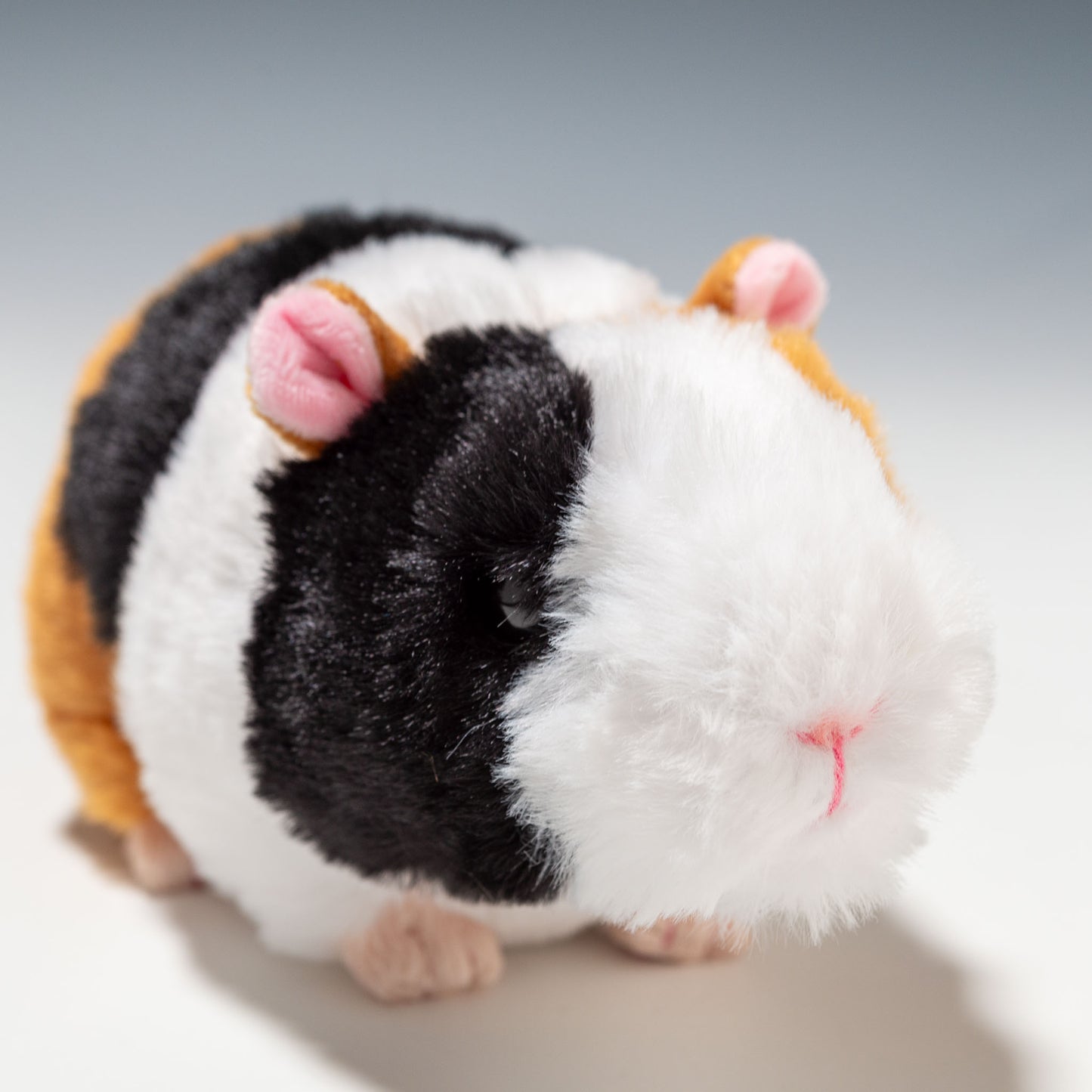 CUTE キュート販売 ぬいぐるみ ファームコレクション MOU MOU むーむー モルモット 三毛 S F0326 右横顔