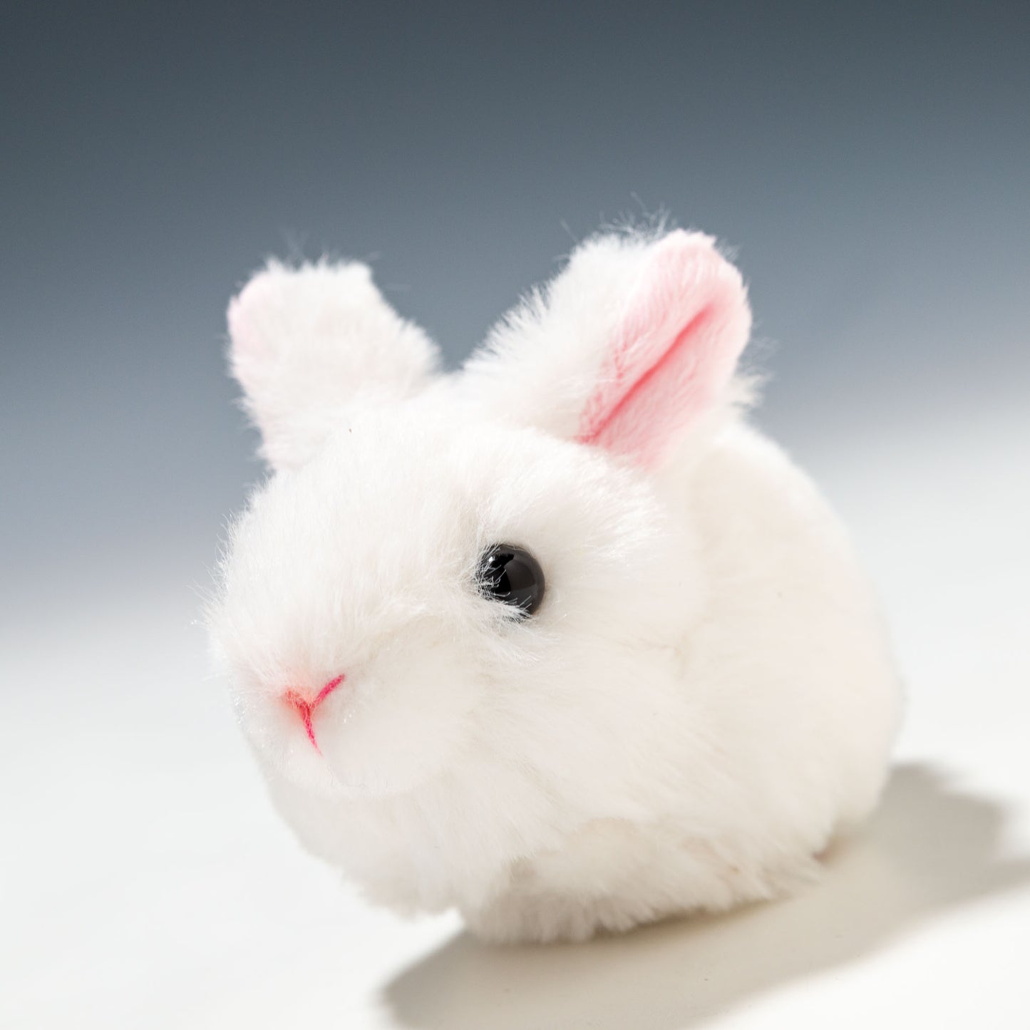 キュート販売 CUTE ぬいぐるみ ファームコレクション MOU MOU むーむー ウサギ 白 SS F0327 左横顔