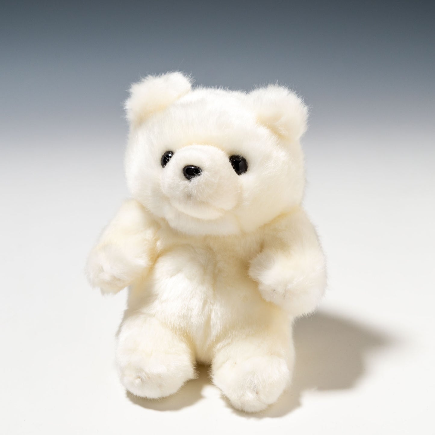 CUTE キュート販売 ぬいぐるみ マリンコレクション ポーラくん SS M0135 正面