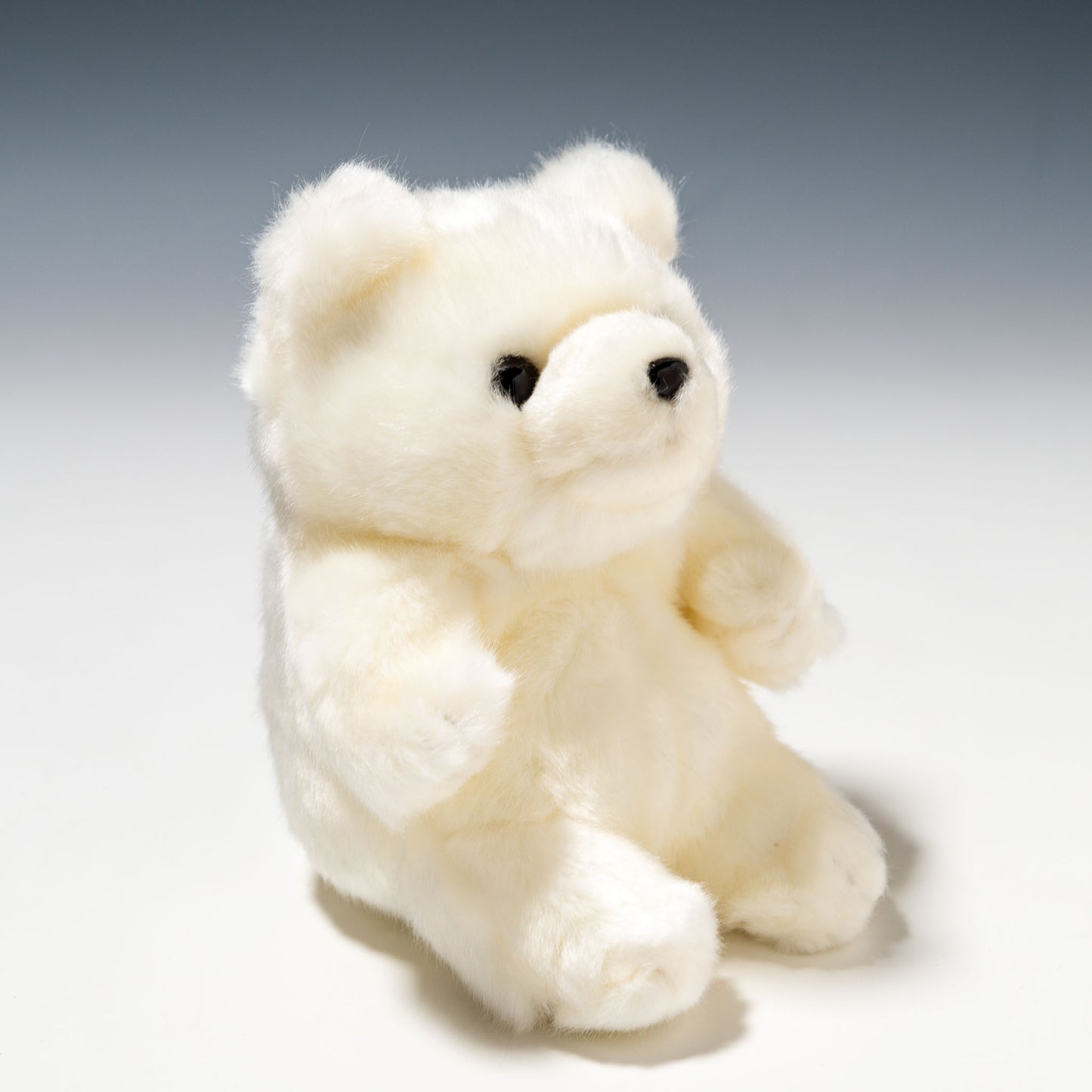 CUTE キュート販売 ぬいぐるみ マリンコレクション ポーラくん SS M0135 左横