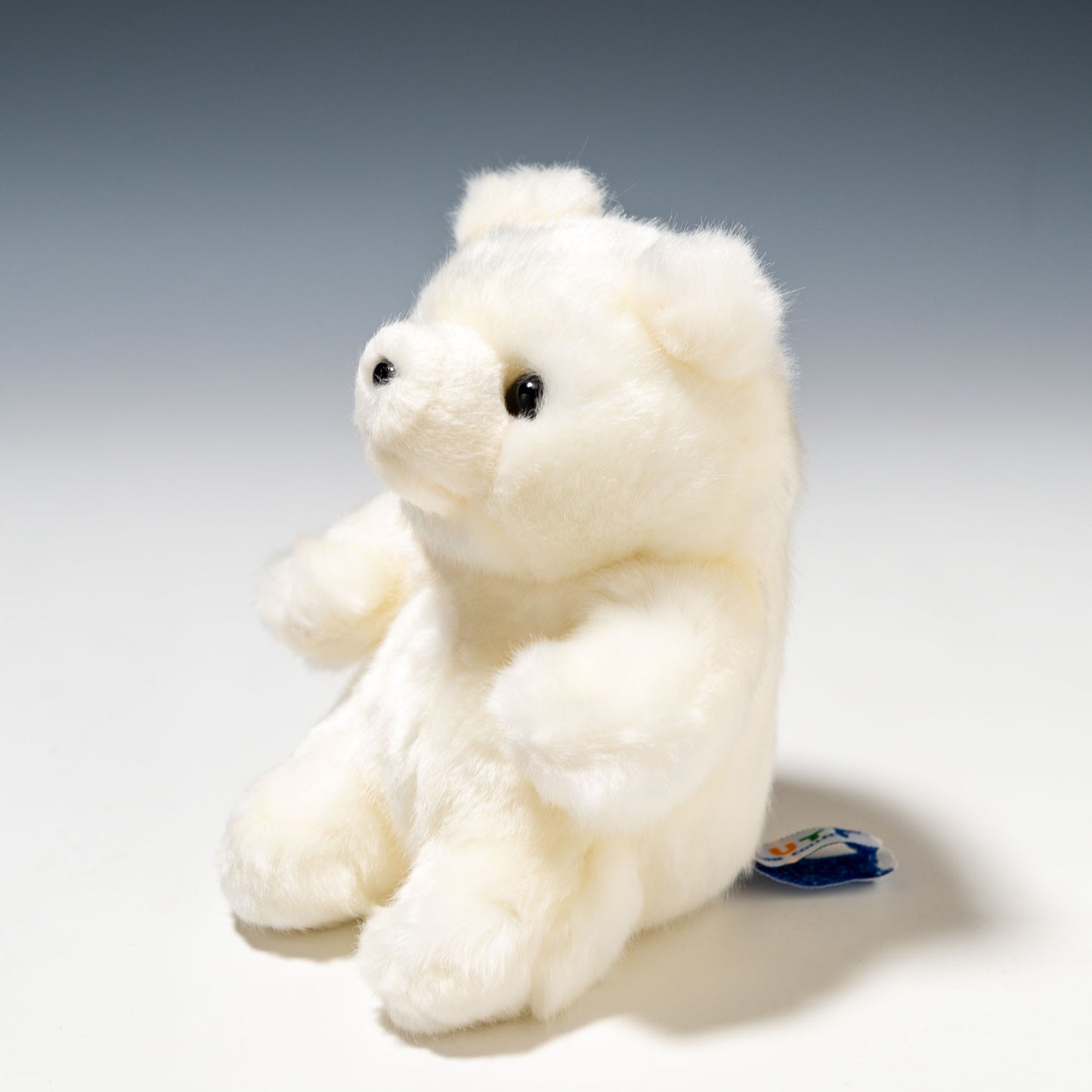 CUTE キュート販売 ぬいぐるみ マリンコレクション ポーラくん SS M0135 右横