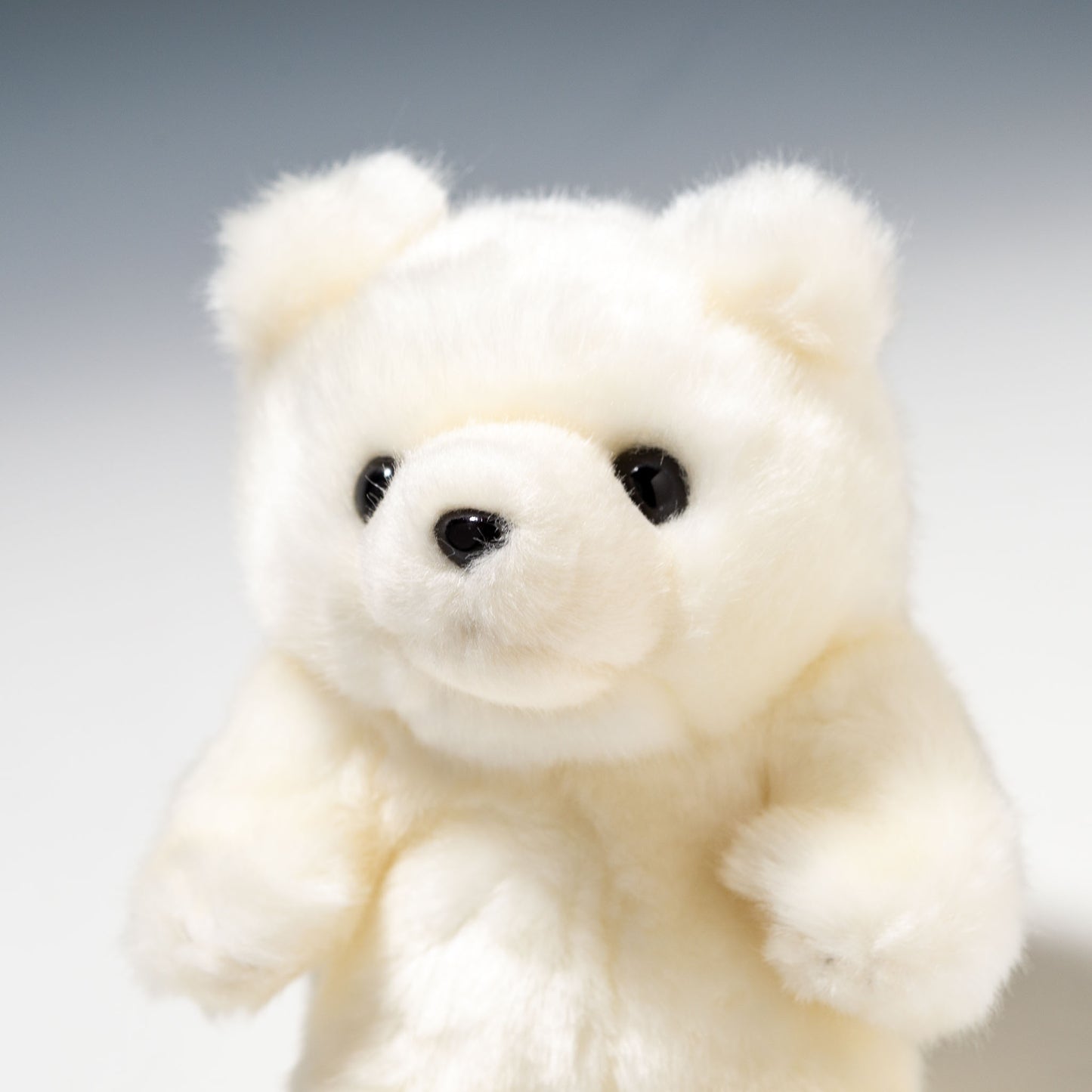 CUTE キュート販売 ぬいぐるみ マリンコレクション ポーラくん SS M0135 左横顔