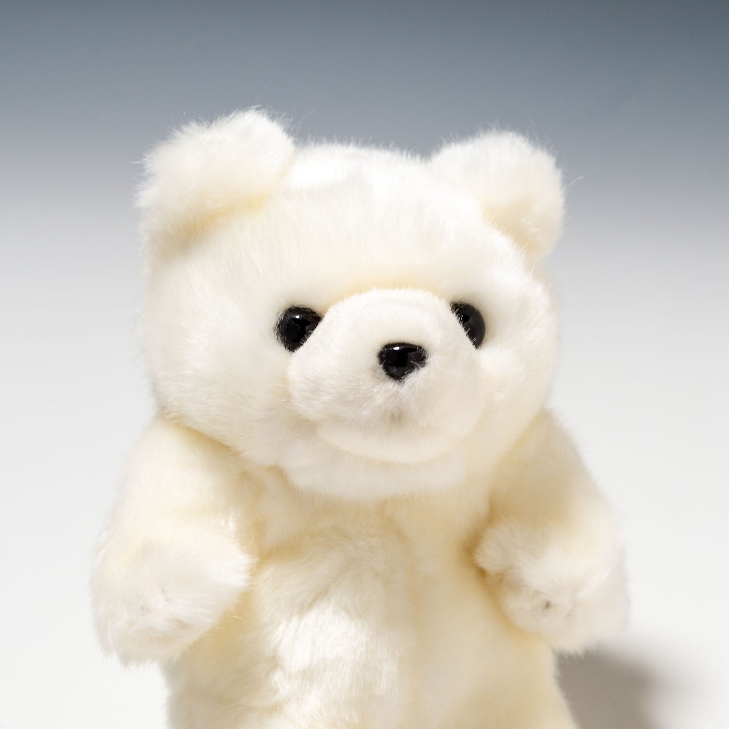 CUTE キュート販売 ぬいぐるみ マリンコレクション ポーラくん SS M0135 右横顔