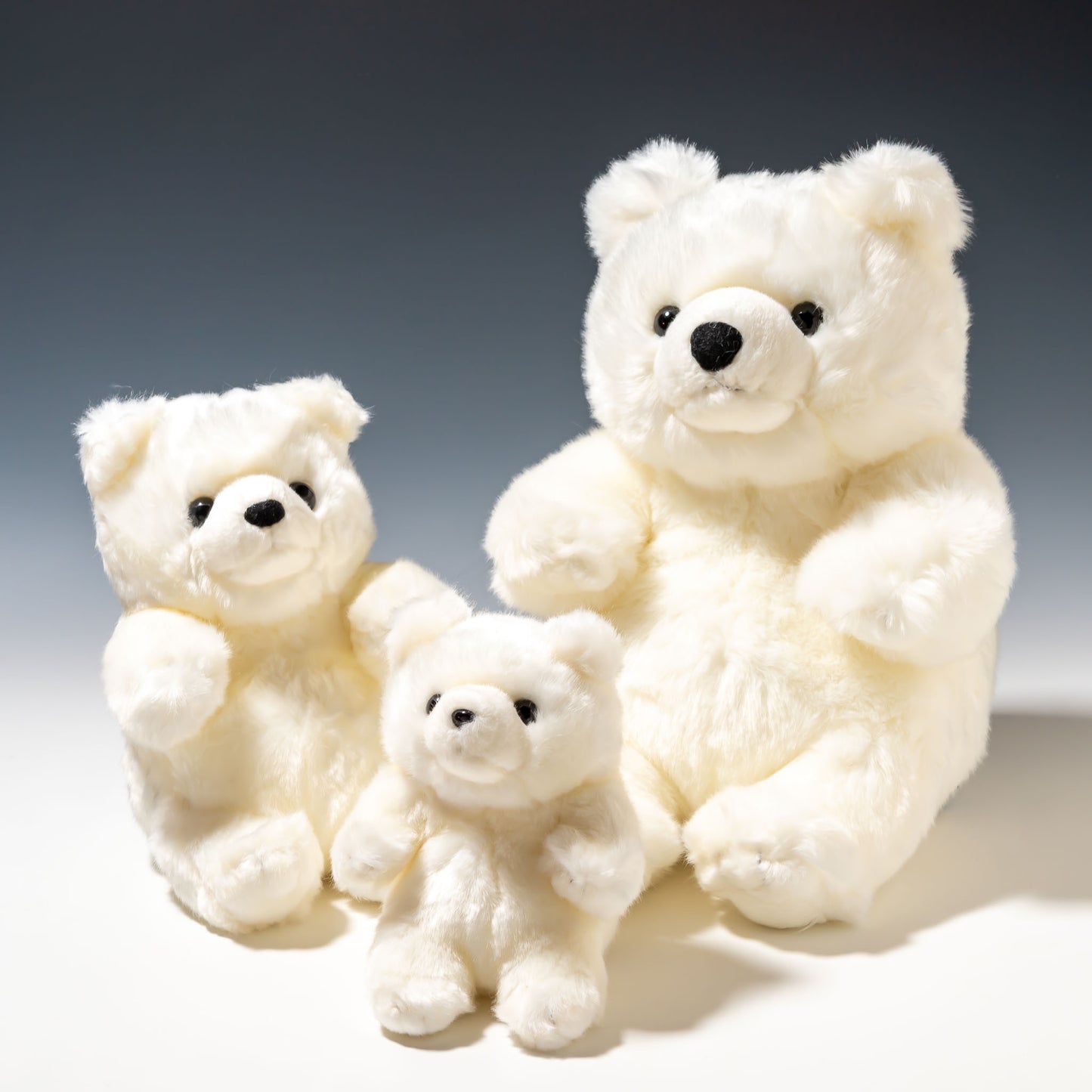 CUTE キュート販売 ぬいぐるみ マリンコレクション ポーラくん SS M0135・S M0136・M M0137 並んだところ