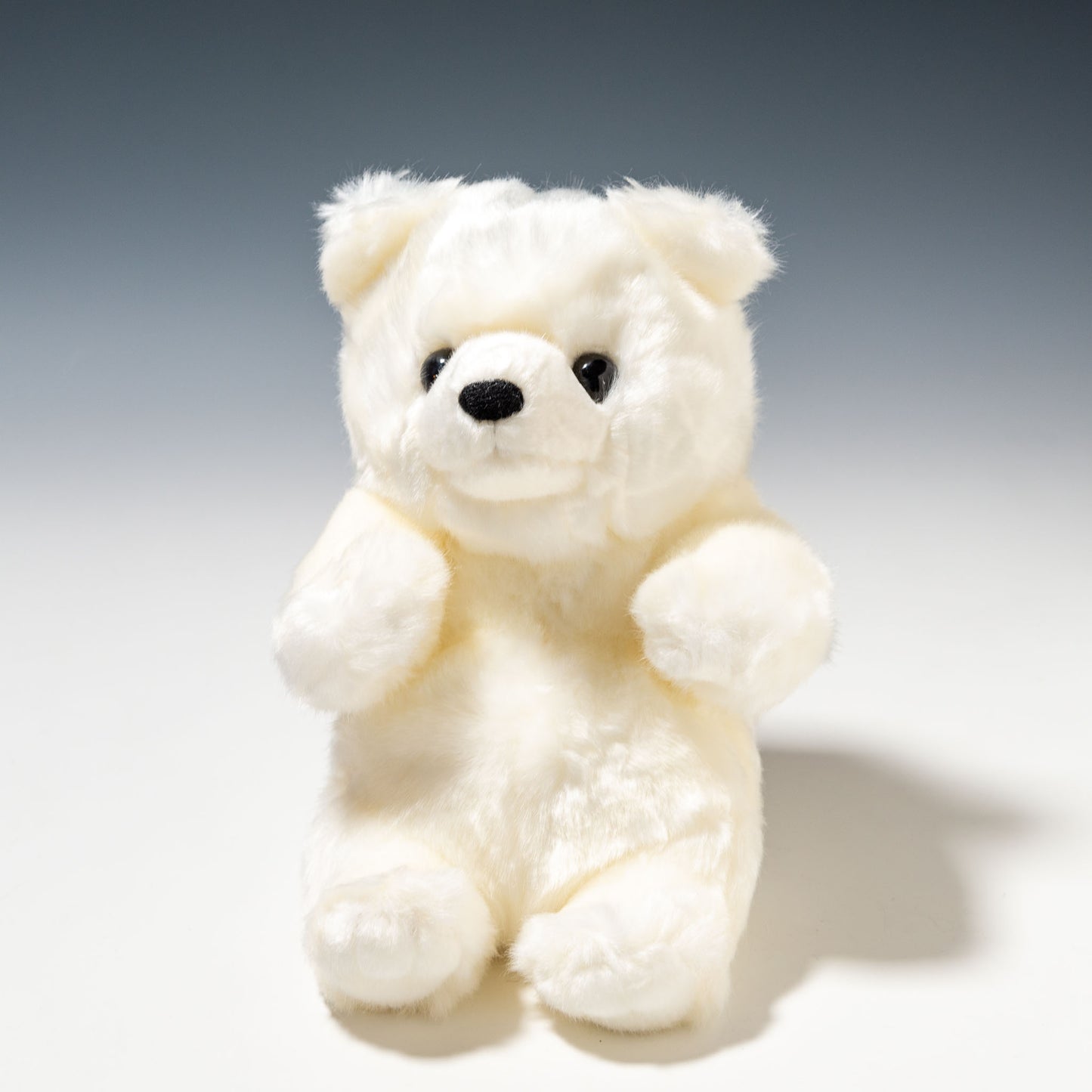 CUTE キュート販売 ぬいぐるみ マリンコレクション ポーラくん S M0136 正面