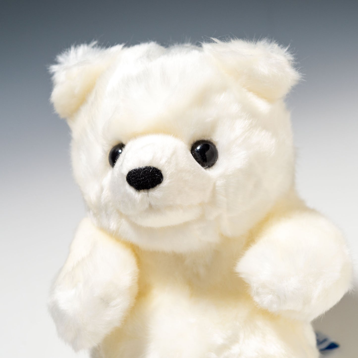 CUTE キュート販売 ぬいぐるみ マリンコレクション ポーラくん S M0136 左横顔