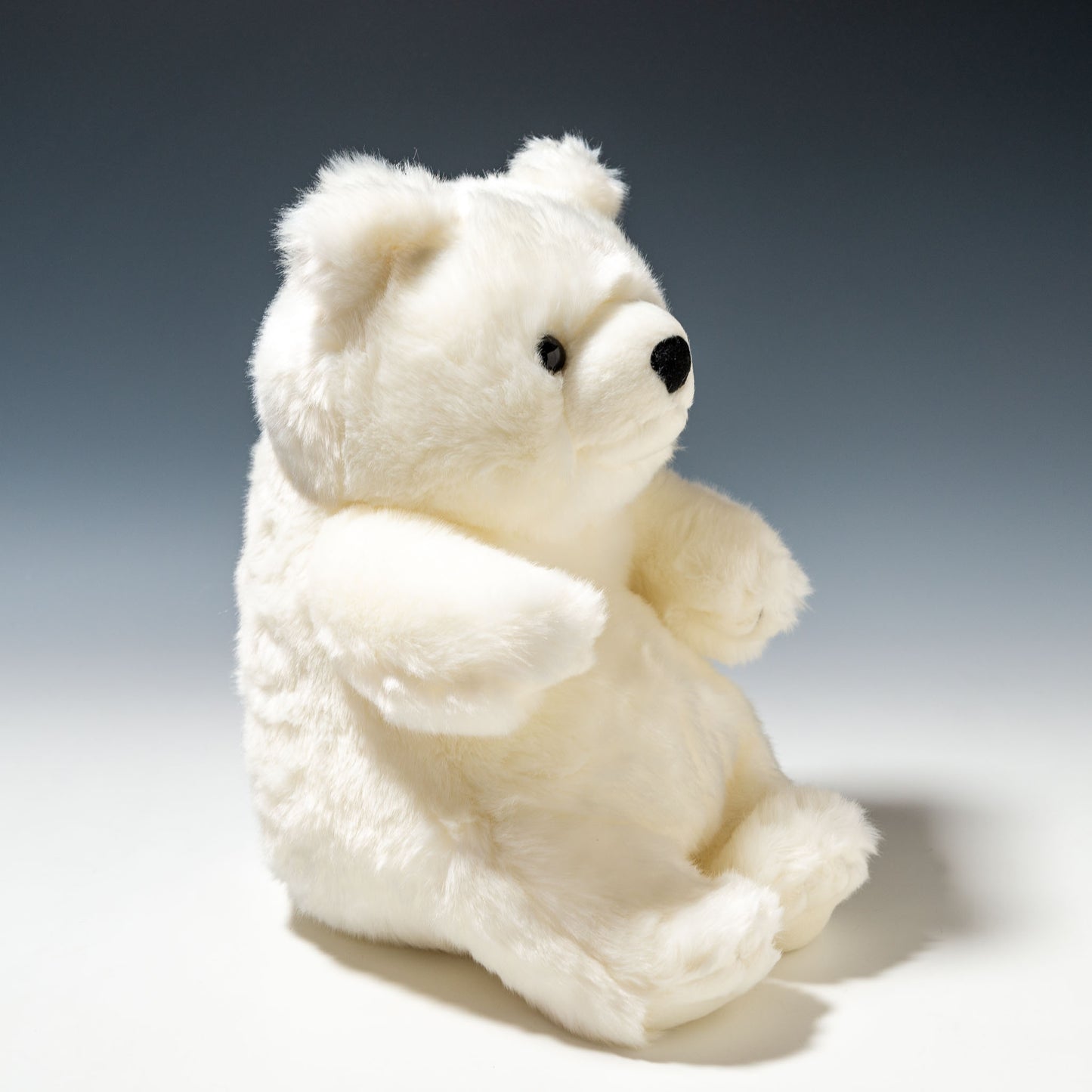 CUTE キュート販売 ぬいぐるみ マリンコレクション ポーラくん M M0137 左横