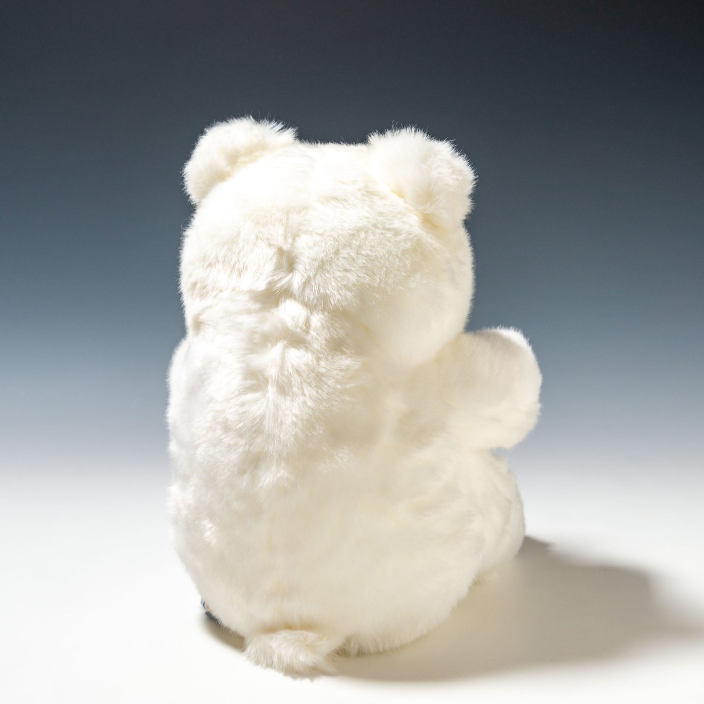 CUTE キュート販売 ぬいぐるみ マリンコレクション ポーラくん M M0137 後ろ