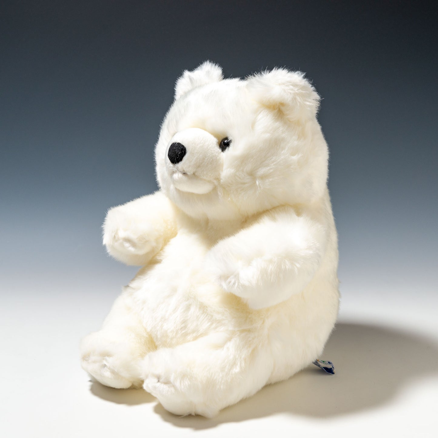 CUTE キュート販売 ぬいぐるみ マリンコレクション ポーラくん M M0137 右横