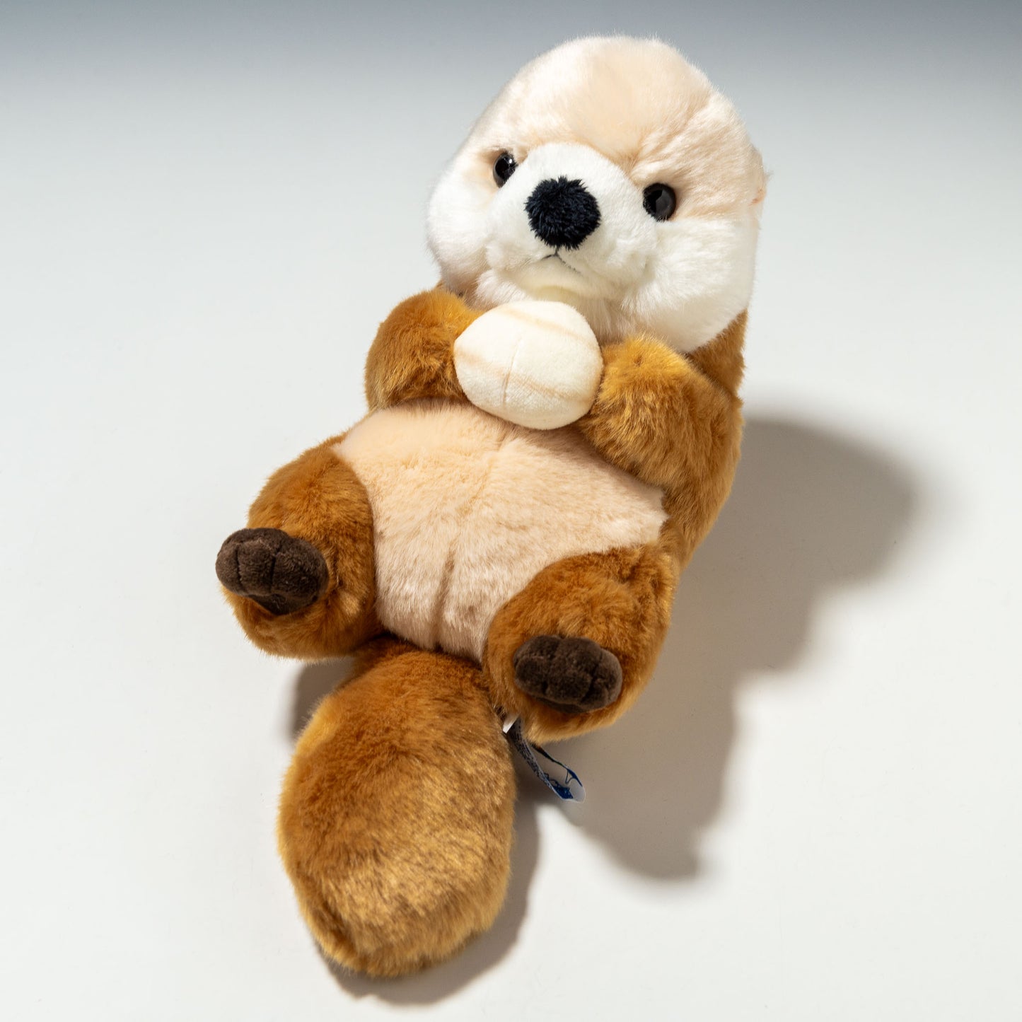 CUTE キュート販売 ぬいぐるみ マリンコレクション ラッコ M M0299 正面
