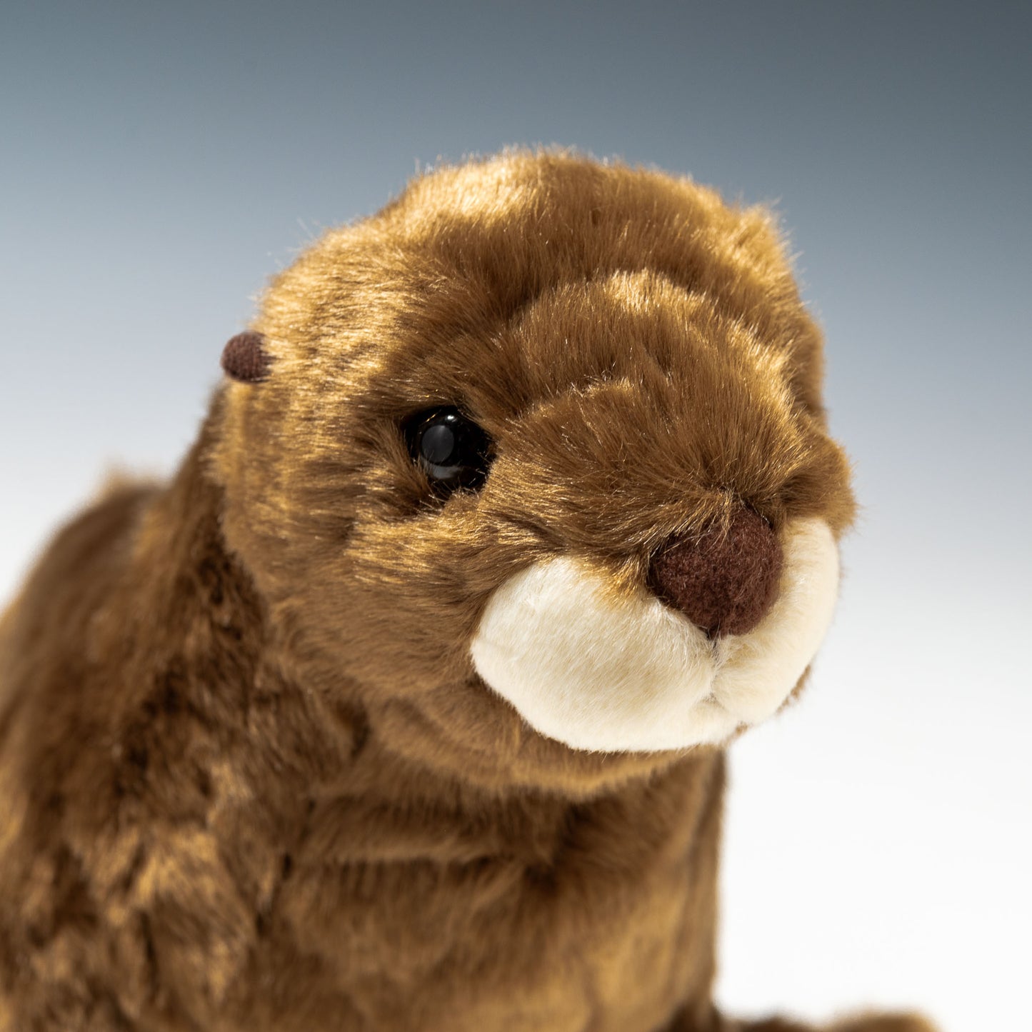 CUTE キュート販売 ぬいぐるみ マリンコレクション アシカ M M0343 右横顔