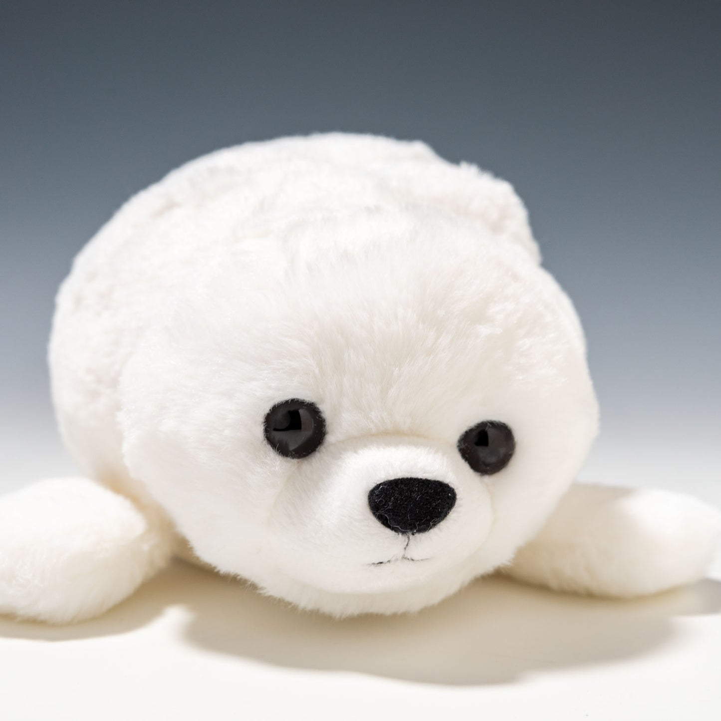 CUTE キュート販売 ぬいぐるみ マリンコレクション ふわふわアザラシ M ホワイト M0385 右横顔