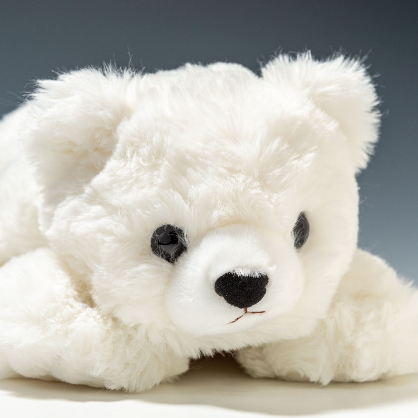 CUTE キュート販売 ぬいぐるみ どうぶつえんコレクション くったり白くま LL M0518  右横顔