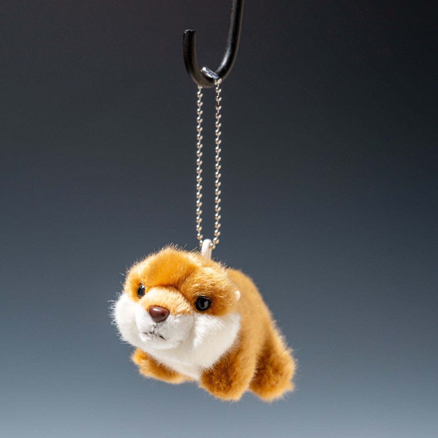 CUTE キュート販売 ぬいぐるみ フォレストコレクション コツメカワウソマスコット N0039 ぶら下げたところ