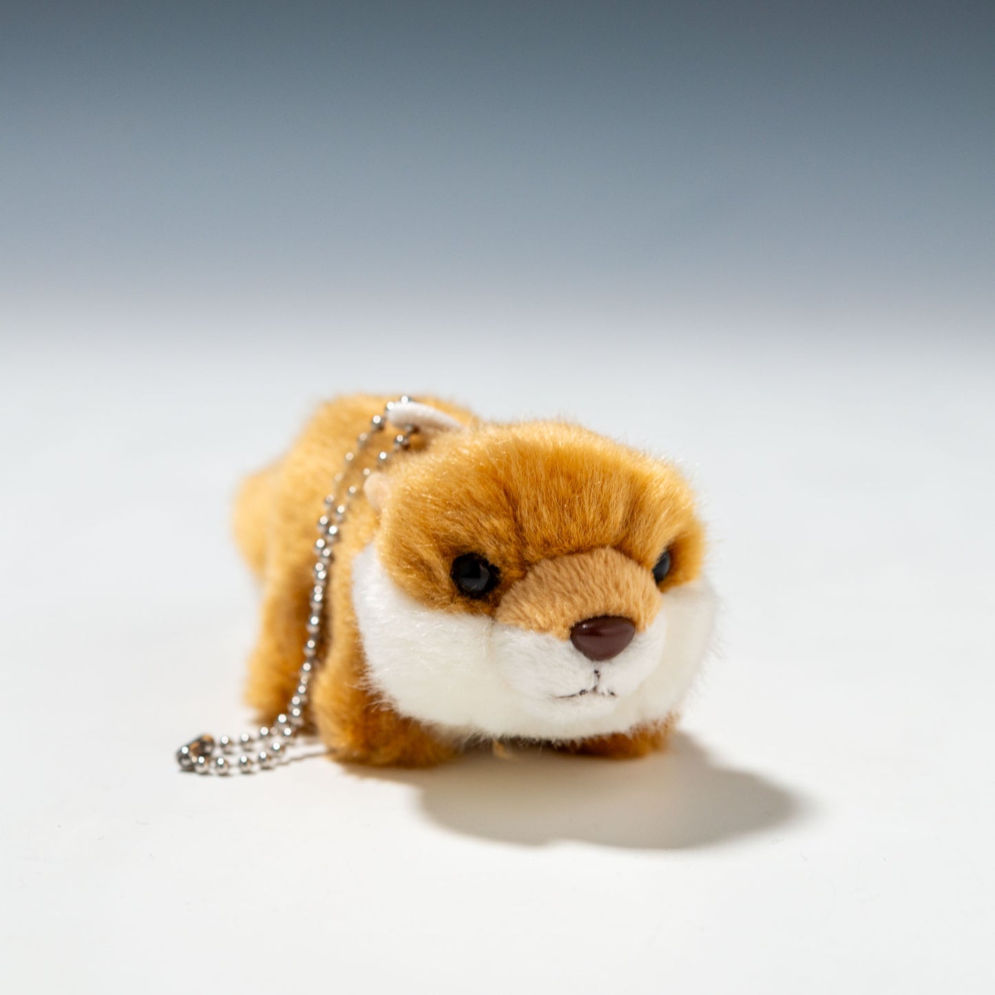 CUTE キュート販売 ぬいぐるみ フォレストコレクション コツメカワウソマスコット N0039 正面