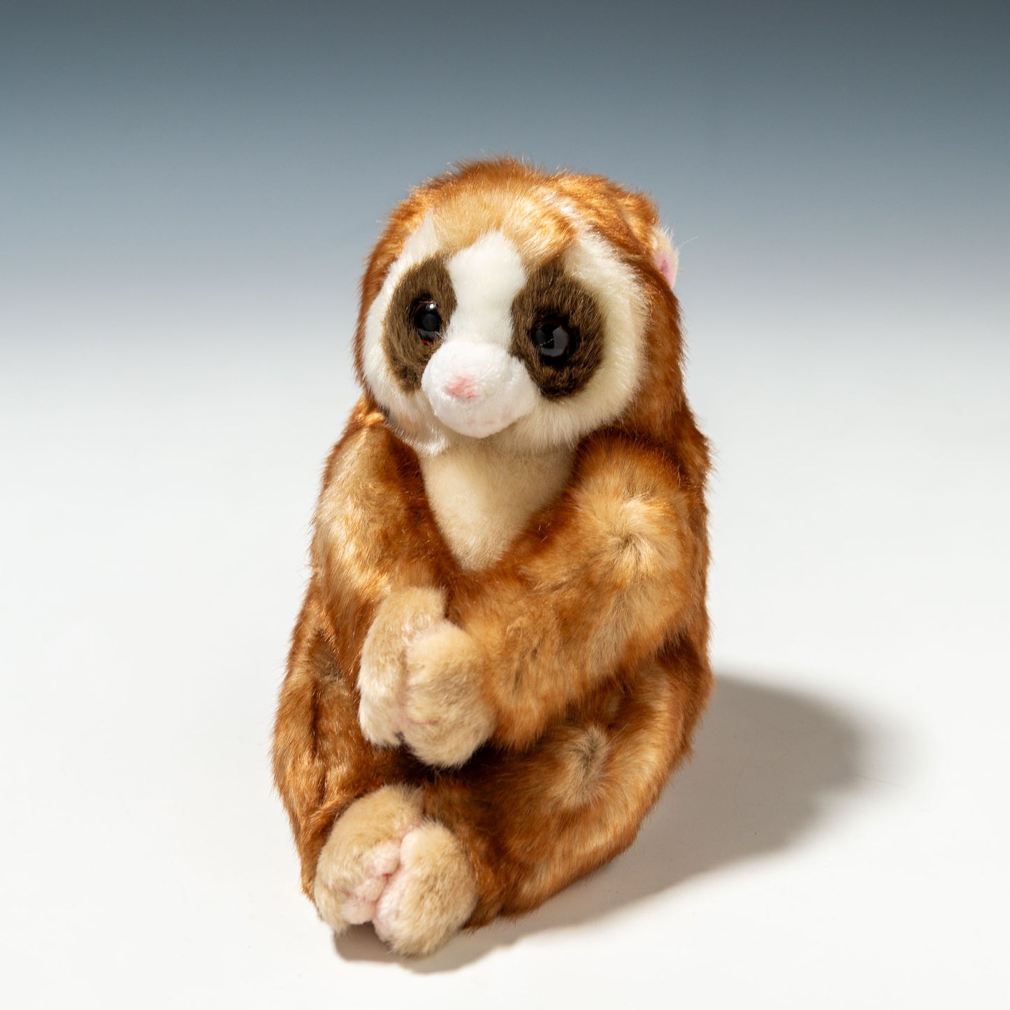 キュート販売 CUTE ぬいぐるみ 動物園コレクション スローロリス S Z0070 正面
