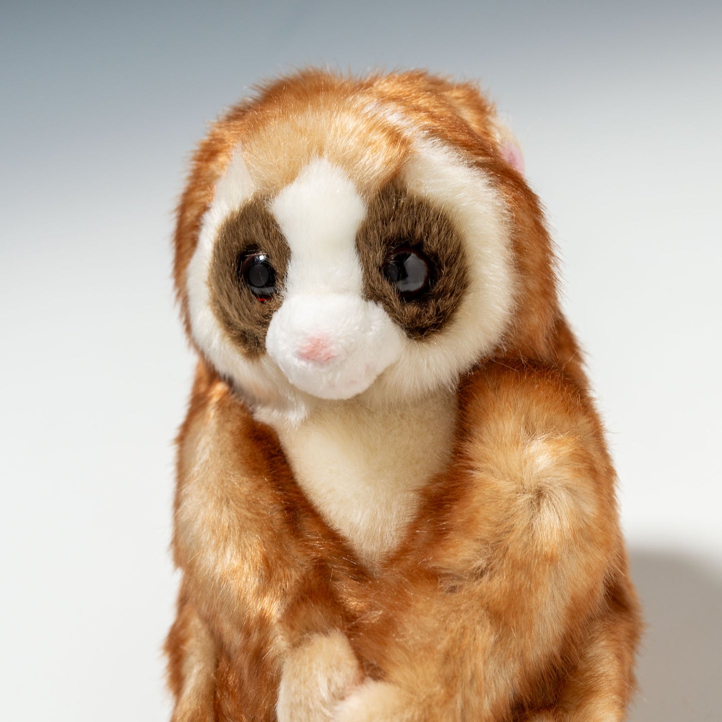 キュート販売 CUTE ぬいぐるみ 動物園コレクション スローロリス S Z0070 左横顔