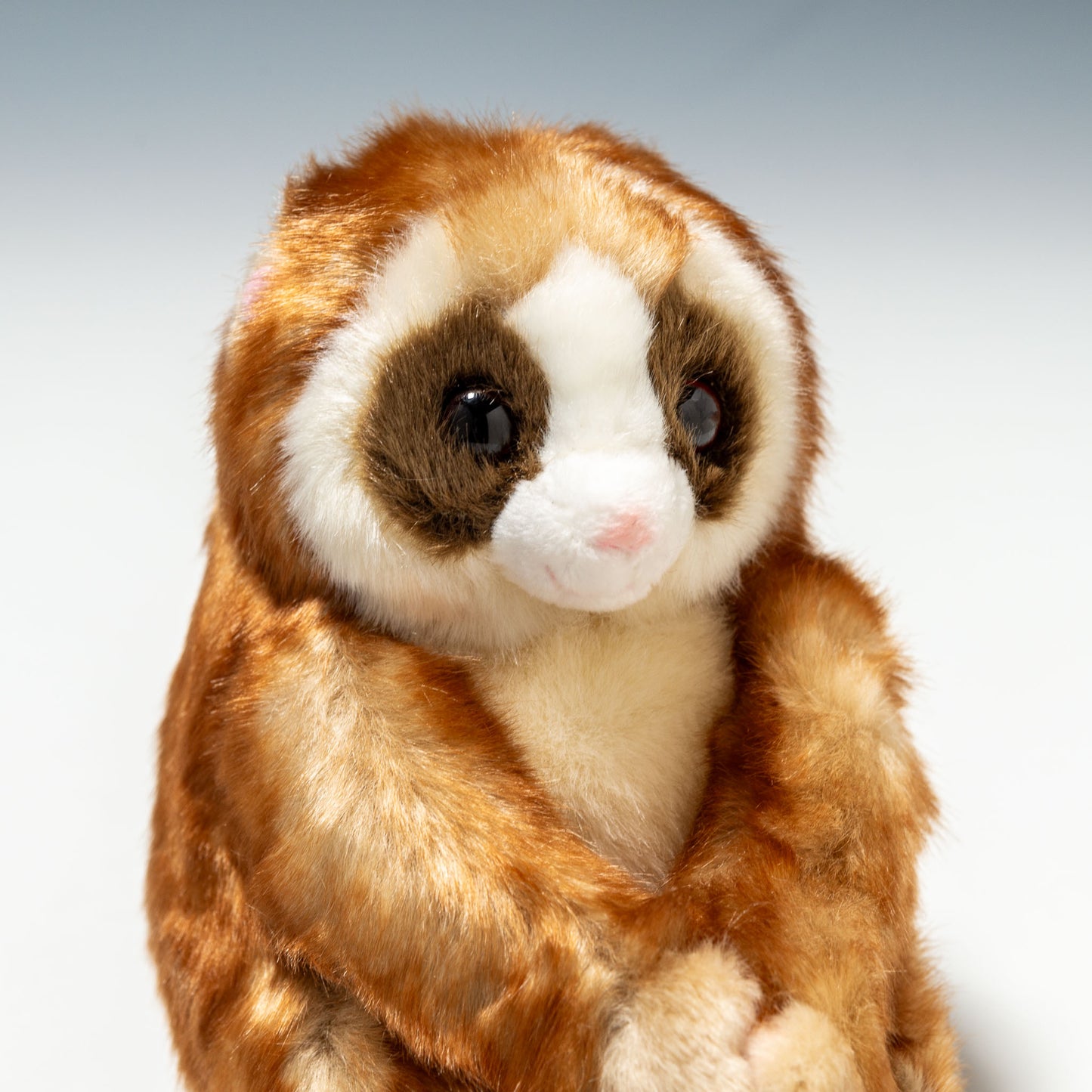 キュート販売 CUTE ぬいぐるみ 動物園コレクション スローロリス S Z0070 右横顔