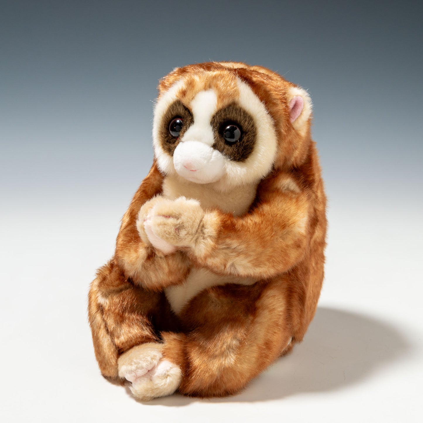 キュート販売 CUTE ぬいぐるみ 動物園コレクション スローロリス L Z0071 正面