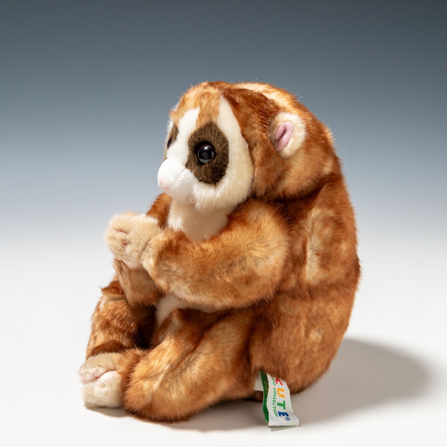 キュート販売 CUTE ぬいぐるみ 動物園コレクション スローロリス L Z0071 右横