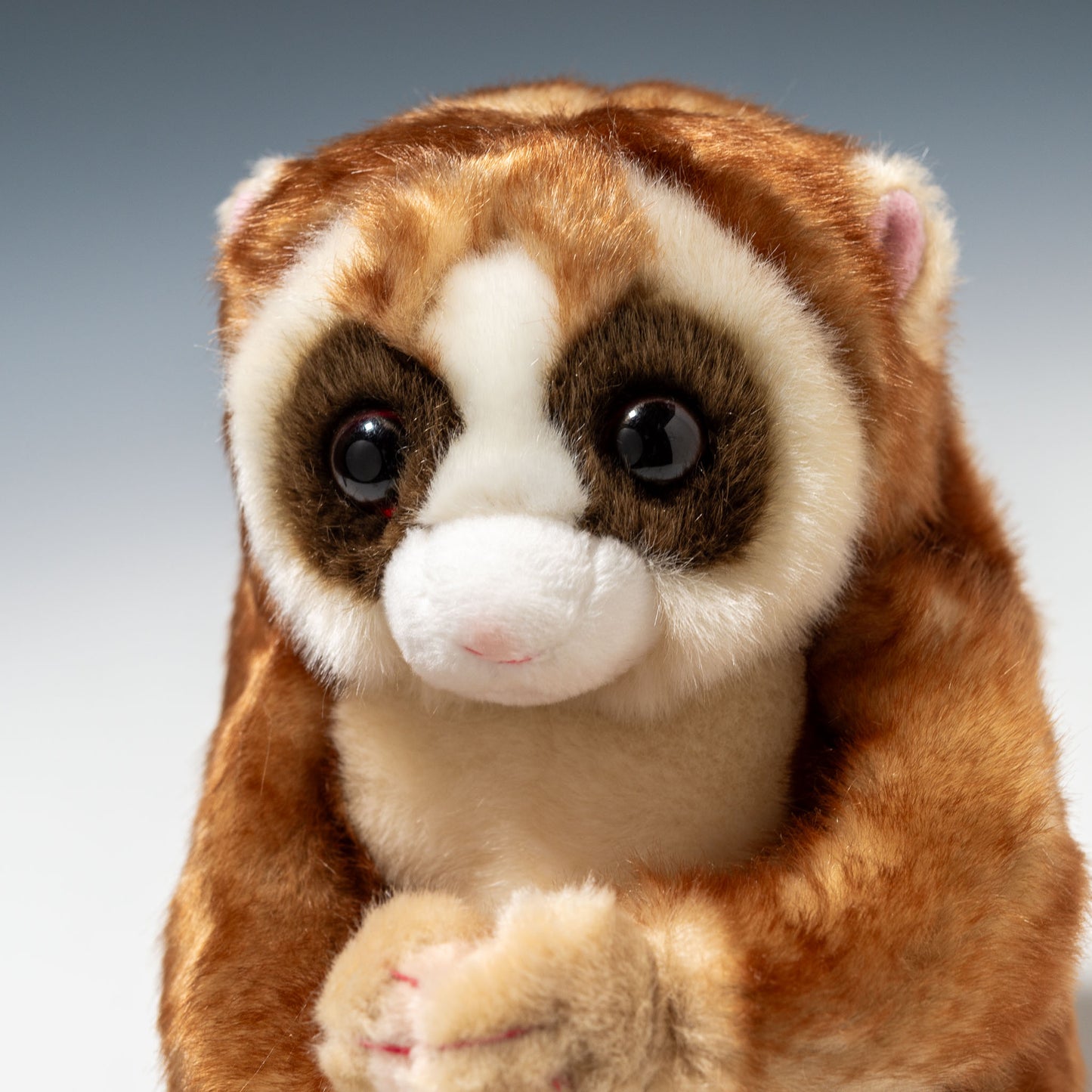 キュート販売 CUTE ぬいぐるみ 動物園コレクション スローロリス L Z0071 左横顔