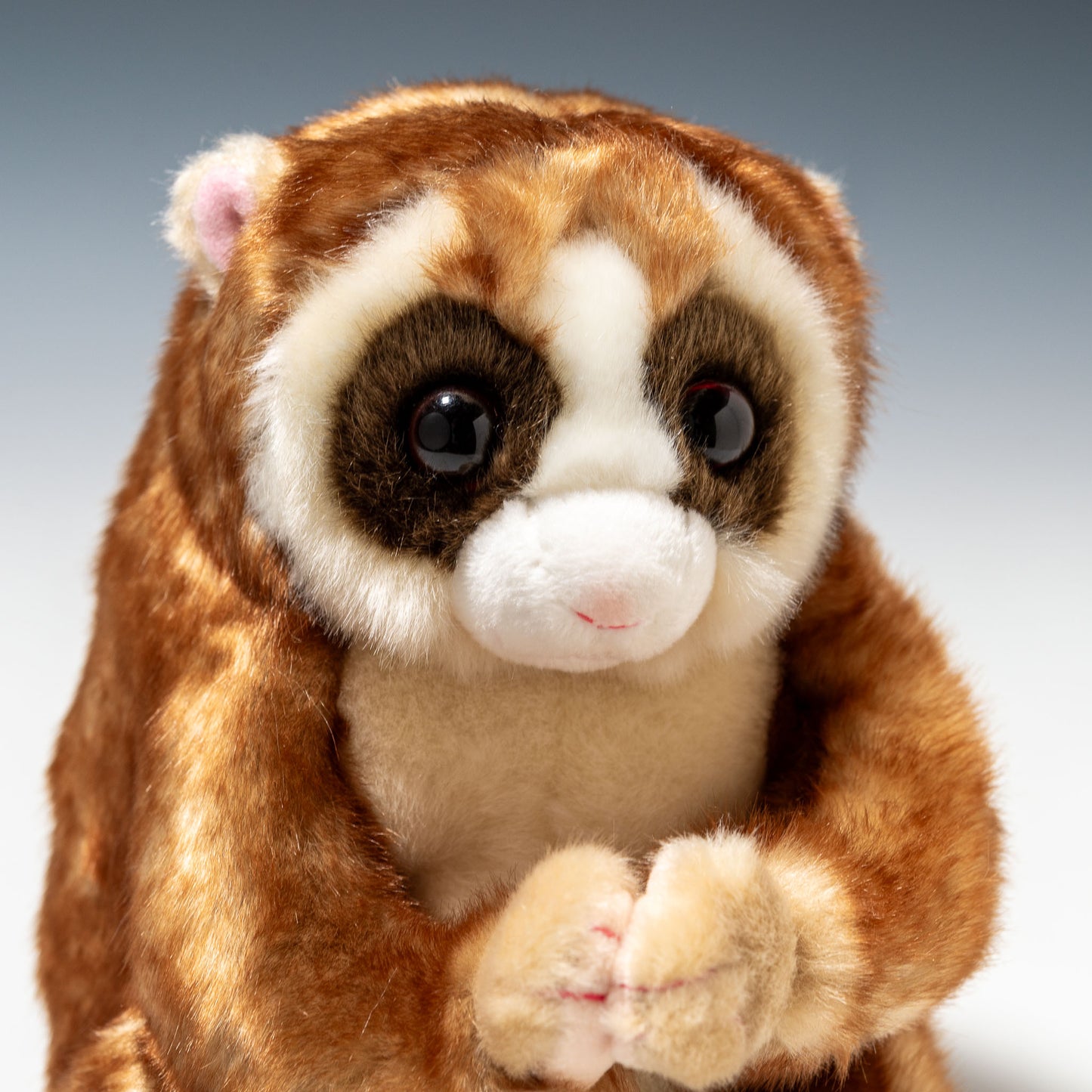 キュート販売 CUTE ぬいぐるみ 動物園コレクション スローロリス L Z0071 右横顔