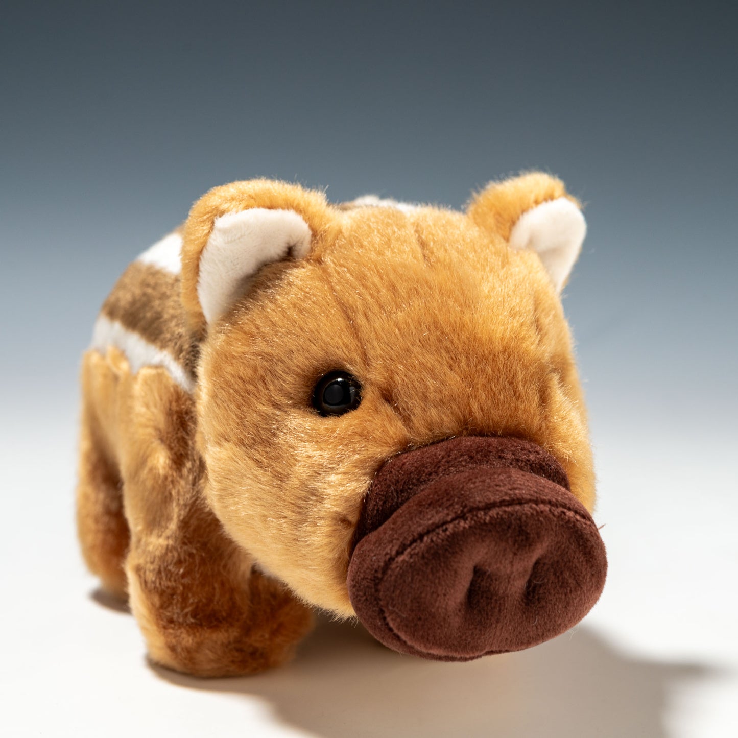 CUTE キュート販売 ぬいぐるみ どうぶつえんコレクション うり坊 S Z0277 右横顔