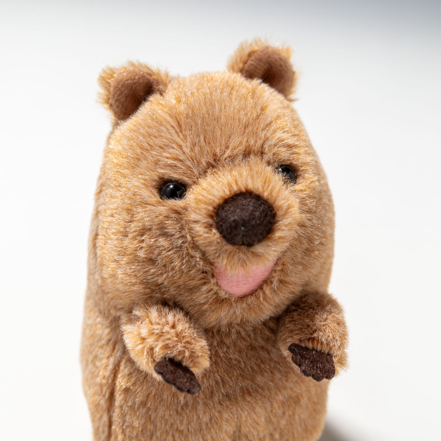 内藤デザイン研究所 ぬいぐるみ 大陸散歩 ぽちゃまる Sサイズ クオッカ 右横顔